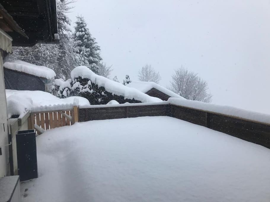 Gemütliches Bergappartement mit Seeblick