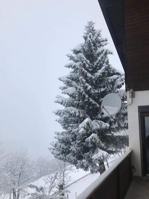 Gemütliches Bergappartement mit Seeblick