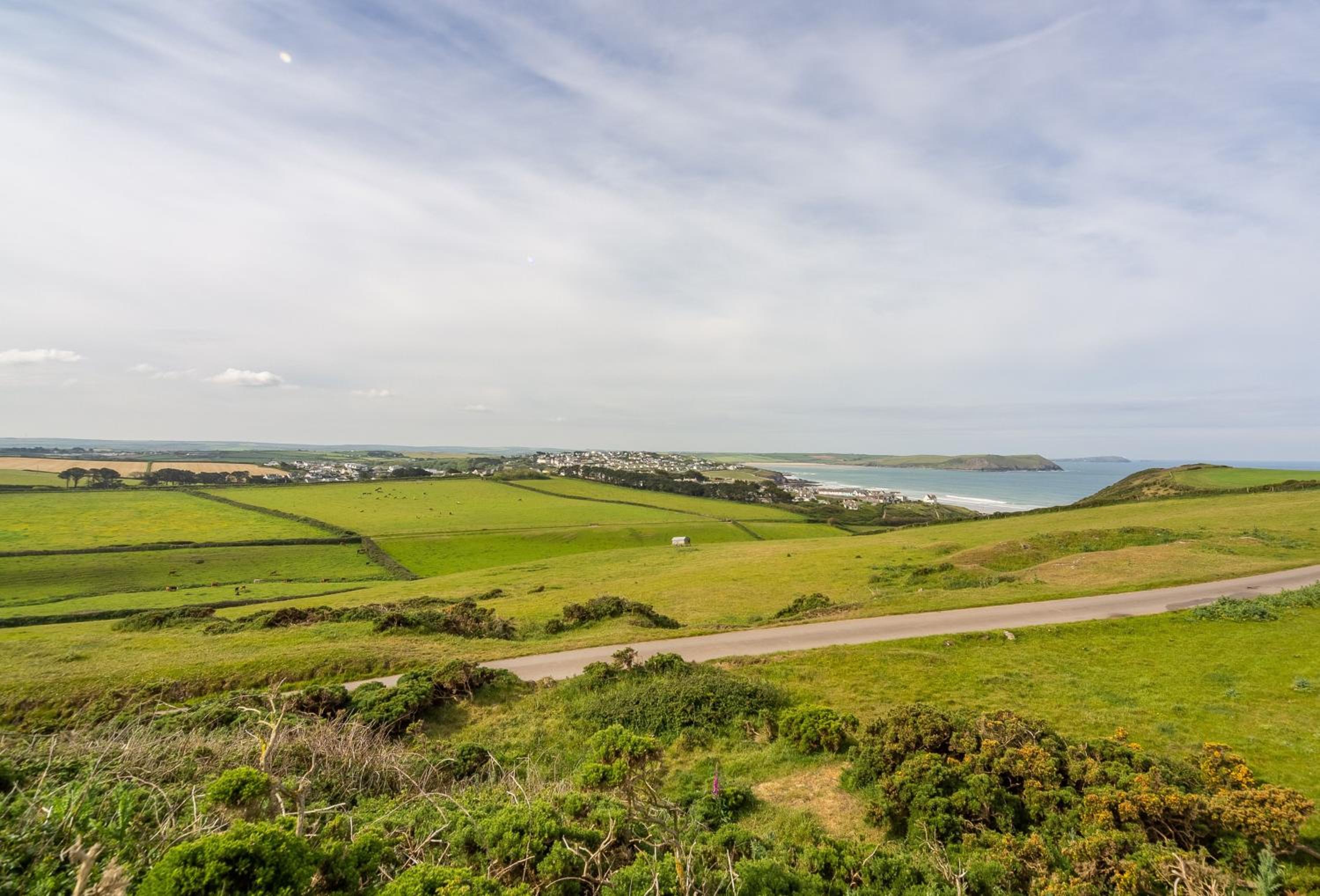 Trevells view 5