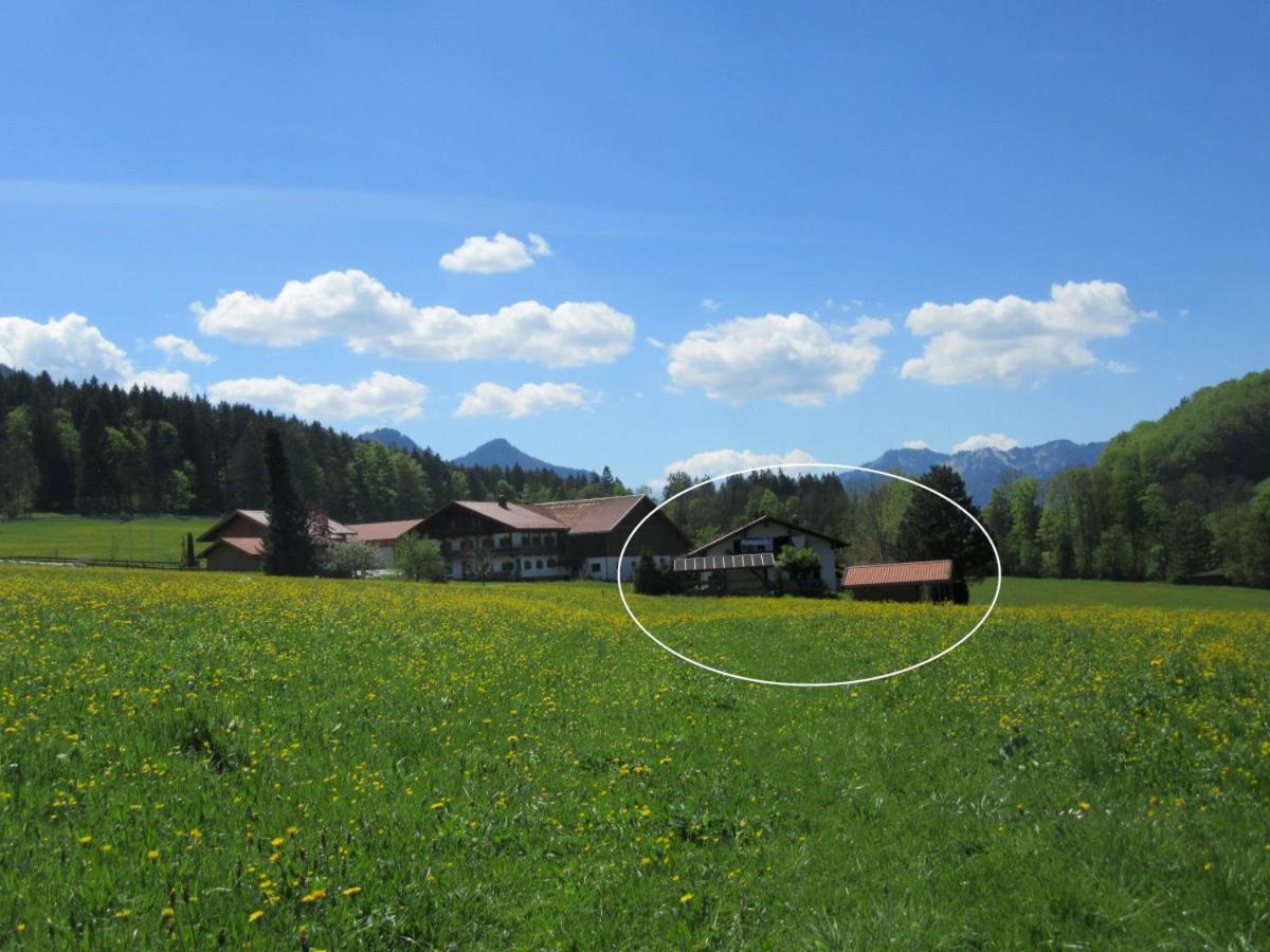 Ferienhaus Froschsee inkl. Chiemgaukarte