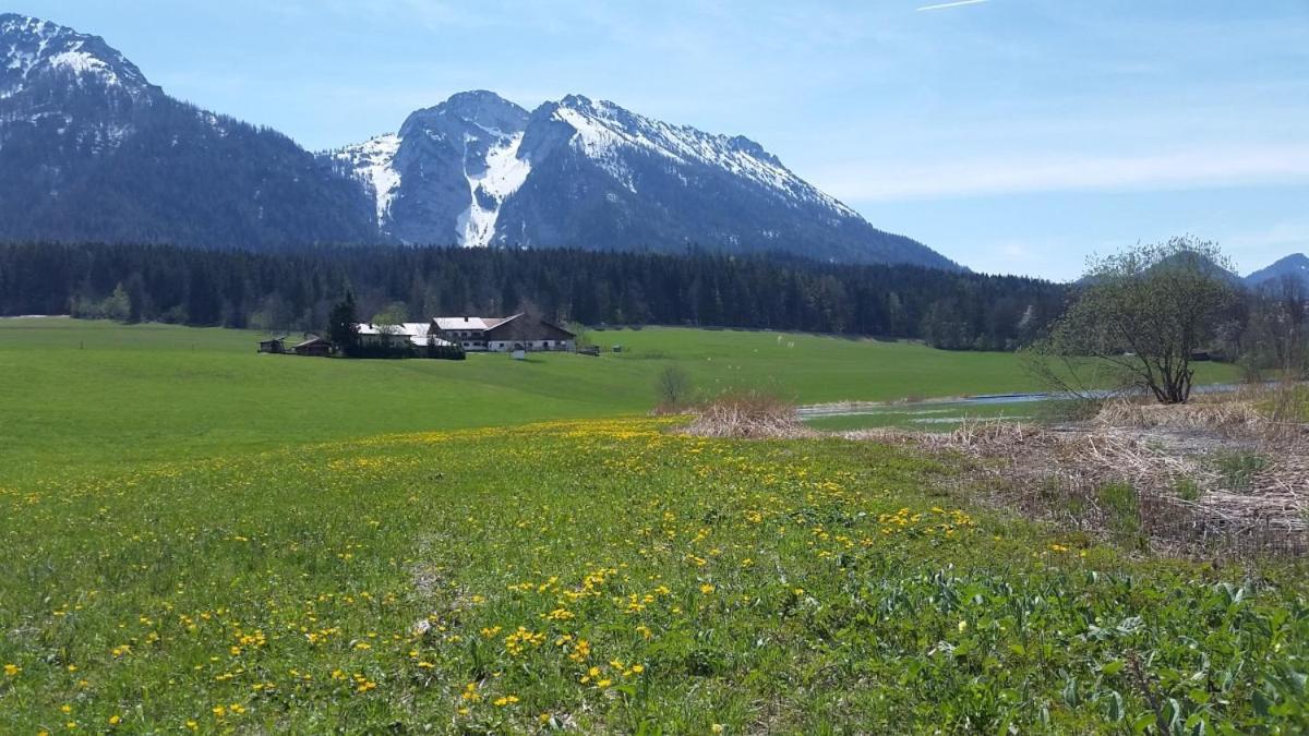 Ferienhaus Froschsee inkl. Chiemgaukarte