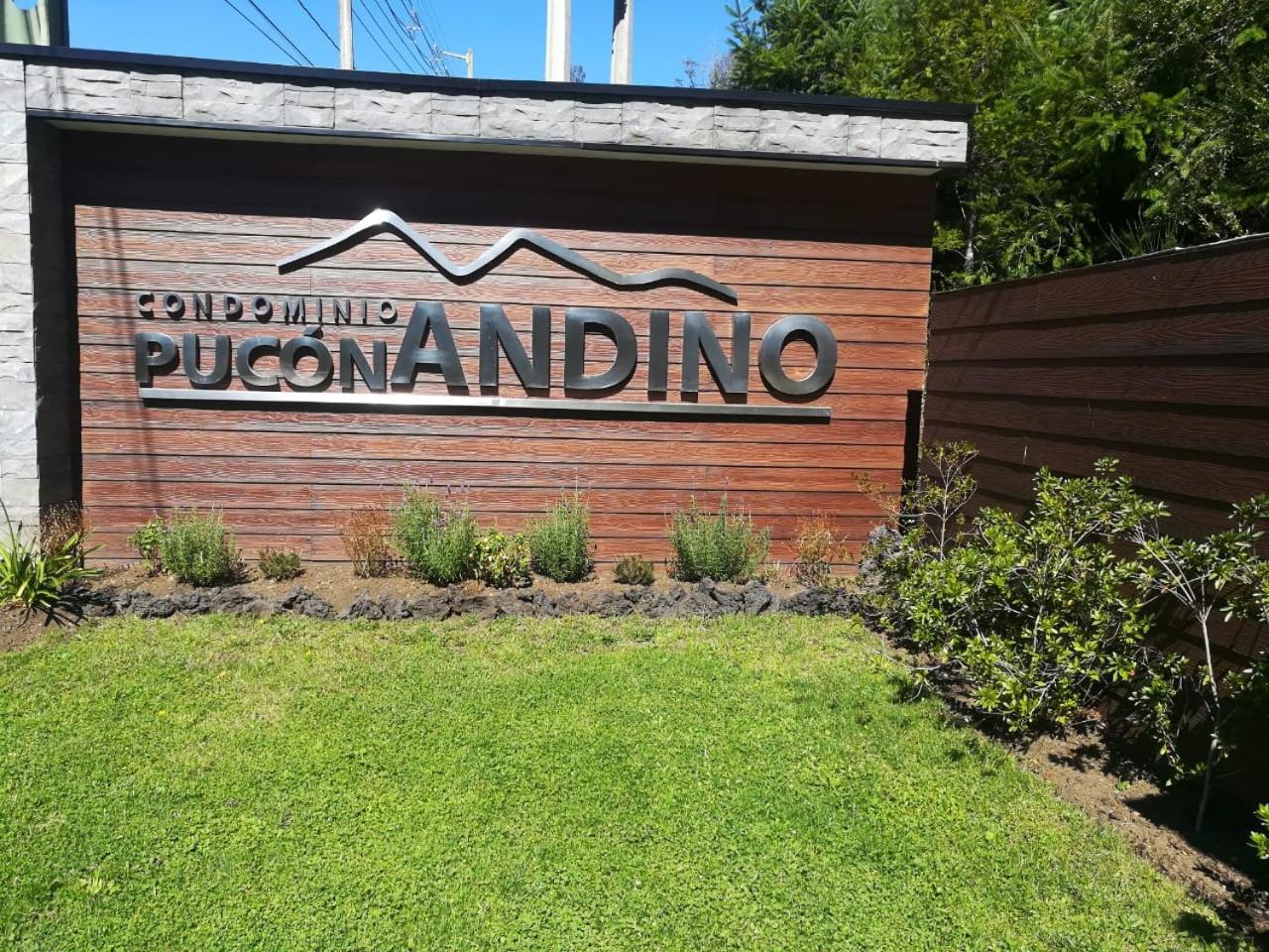 Depto en condo Pucon Andino