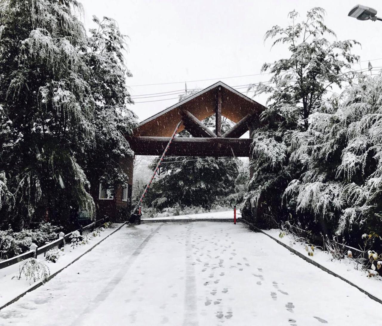 Depto en condo Pucon Andino