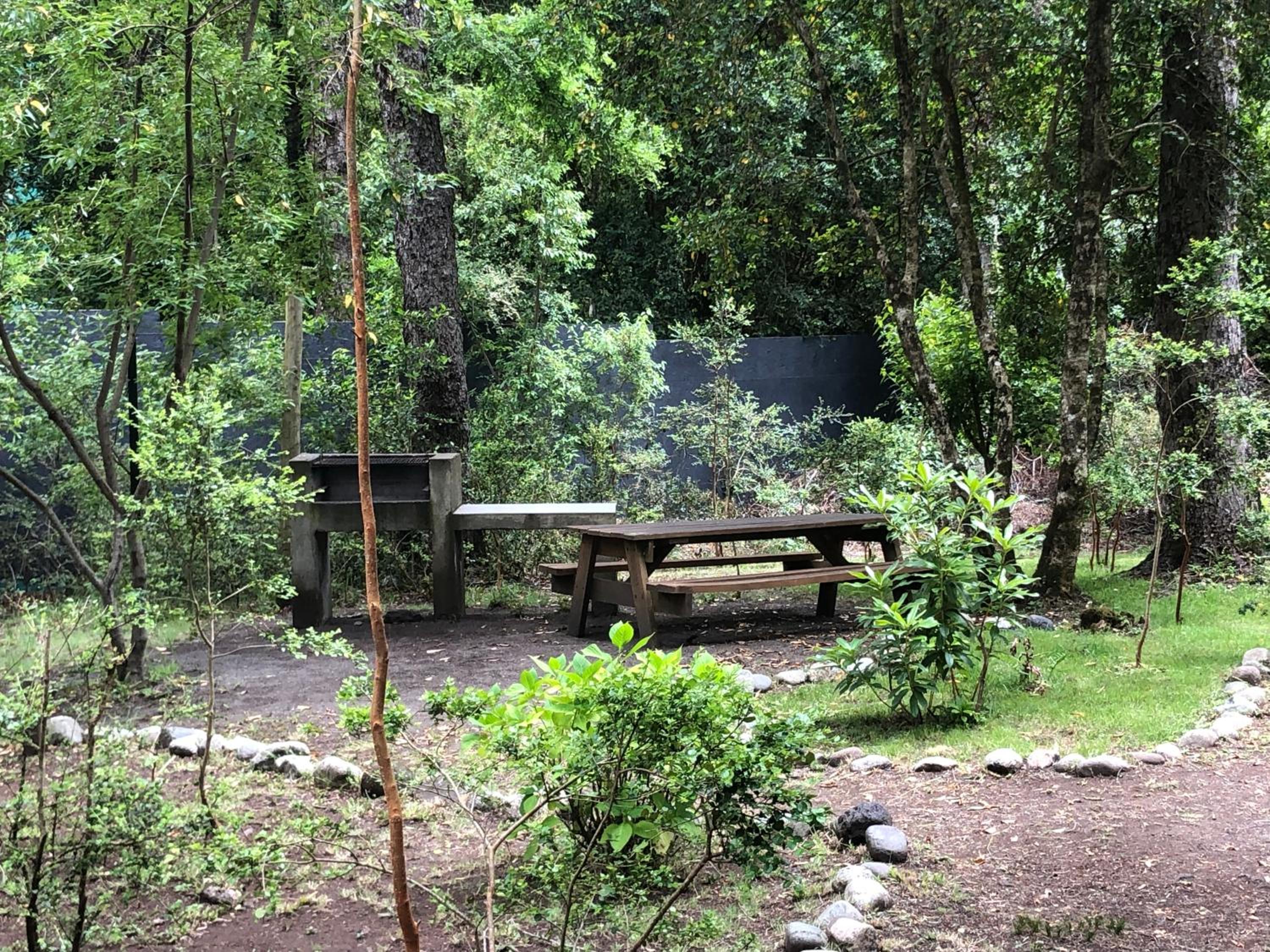 Depto en condo Pucon Andino