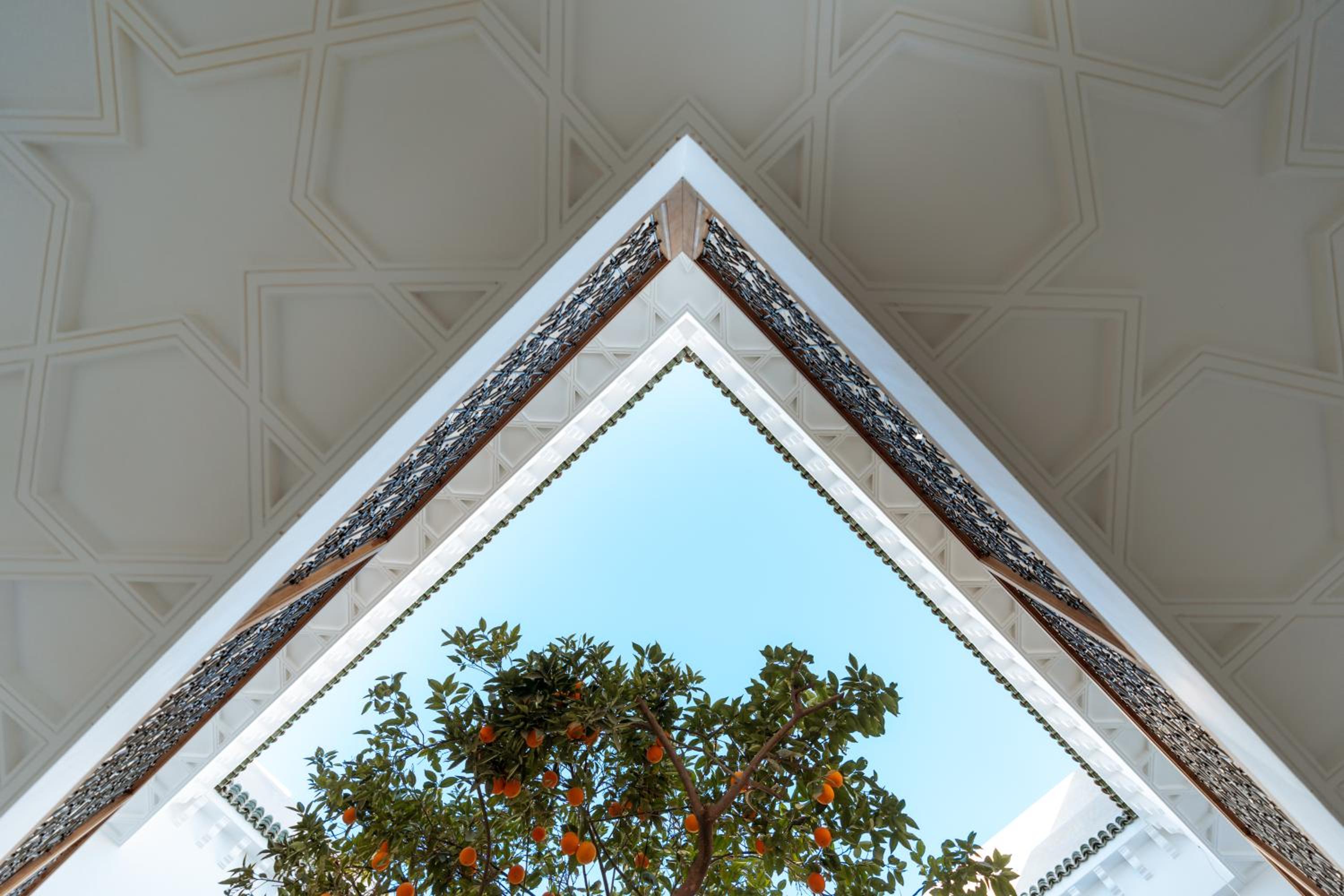 Riad Botanica view 3