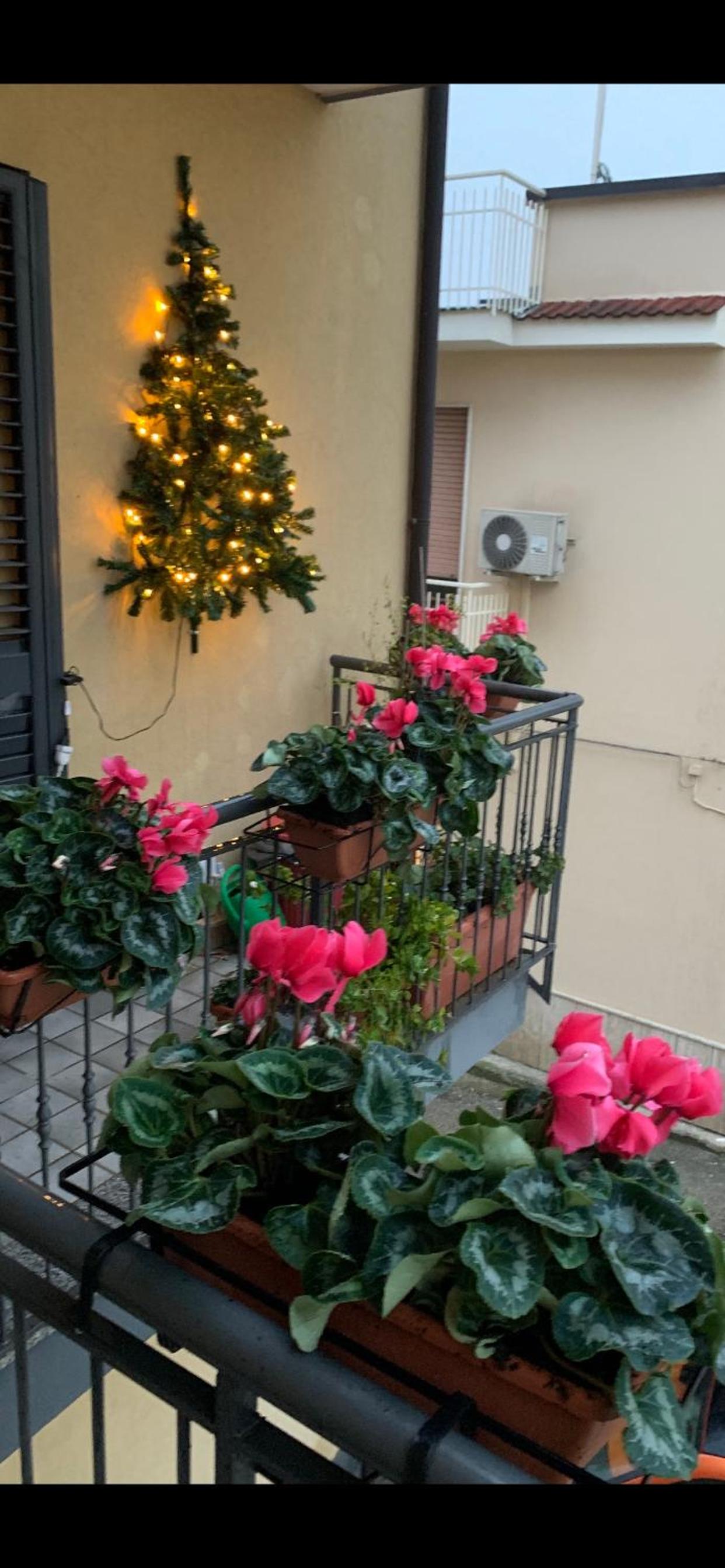 Residence San Pietro Book sharing