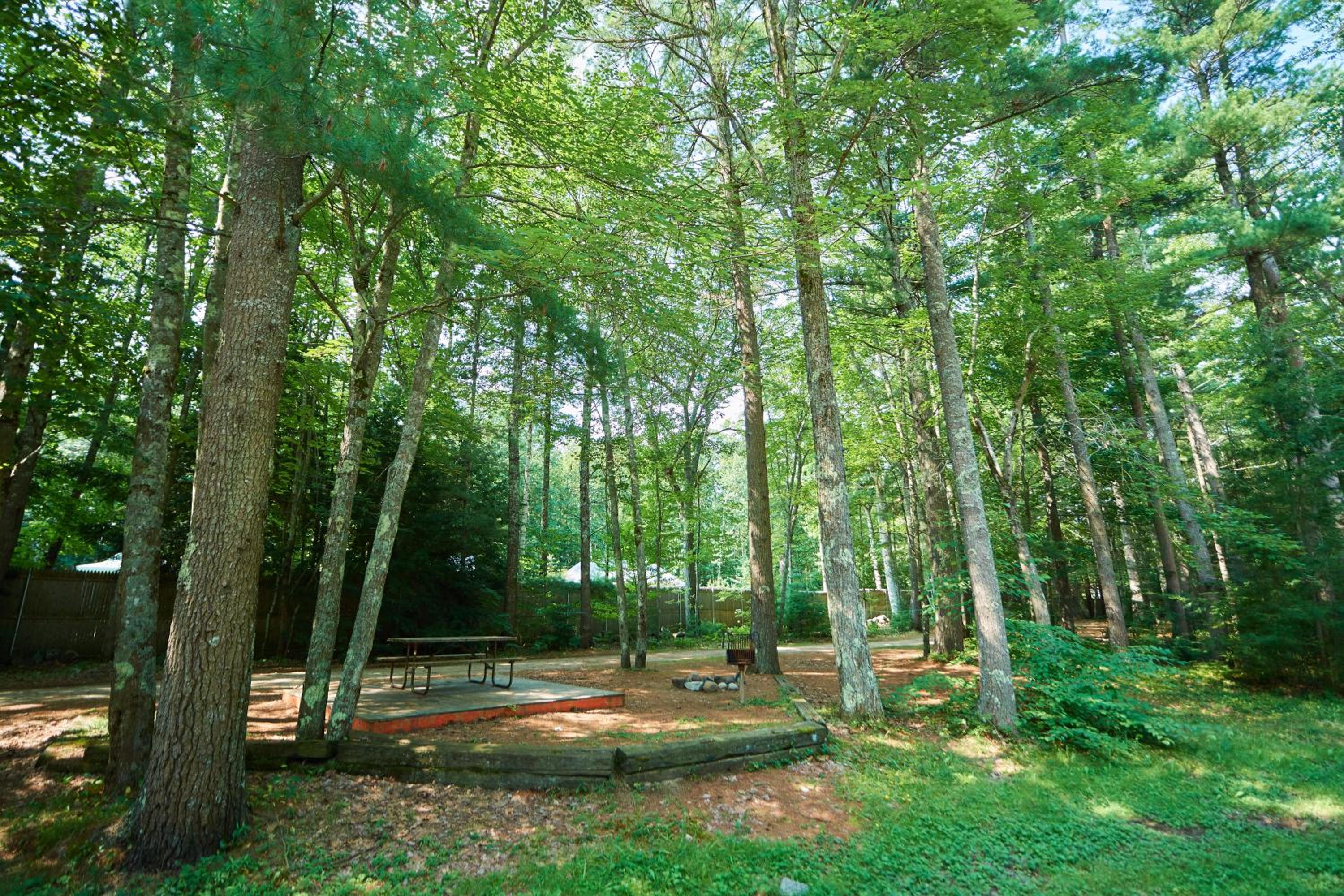 Moody Beach Camping Resort Cottage - Loft view 5