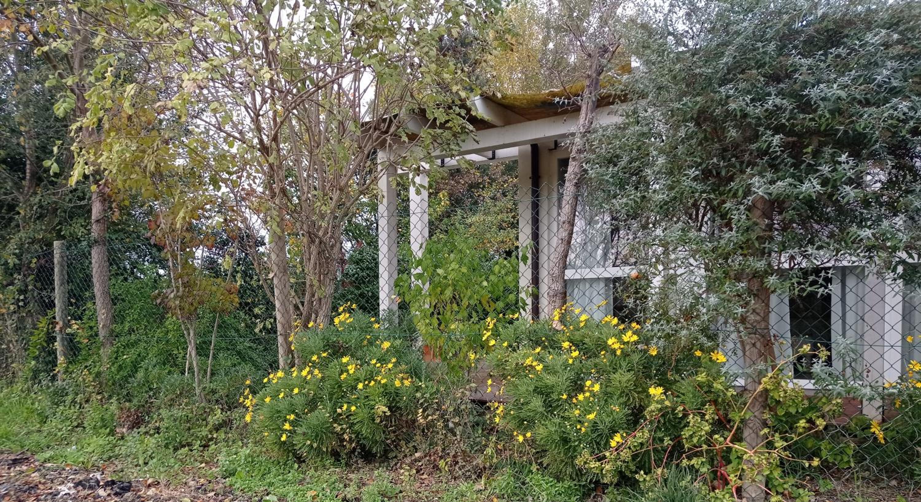 La Casa di Tara B&B Armonia e Natura view 3