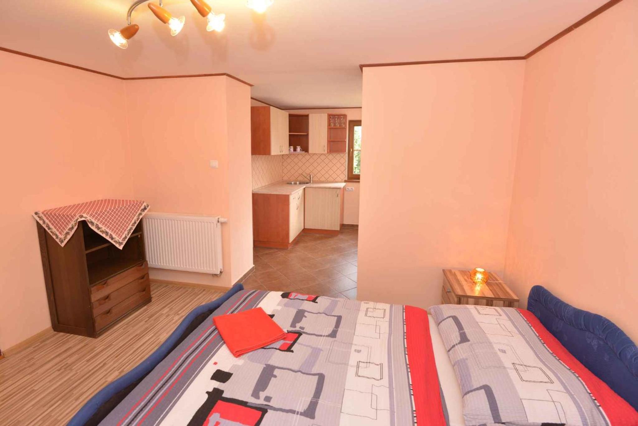 Holiday home in Nova Ves nad Nisou - Riesen- und Isergebirge 43191