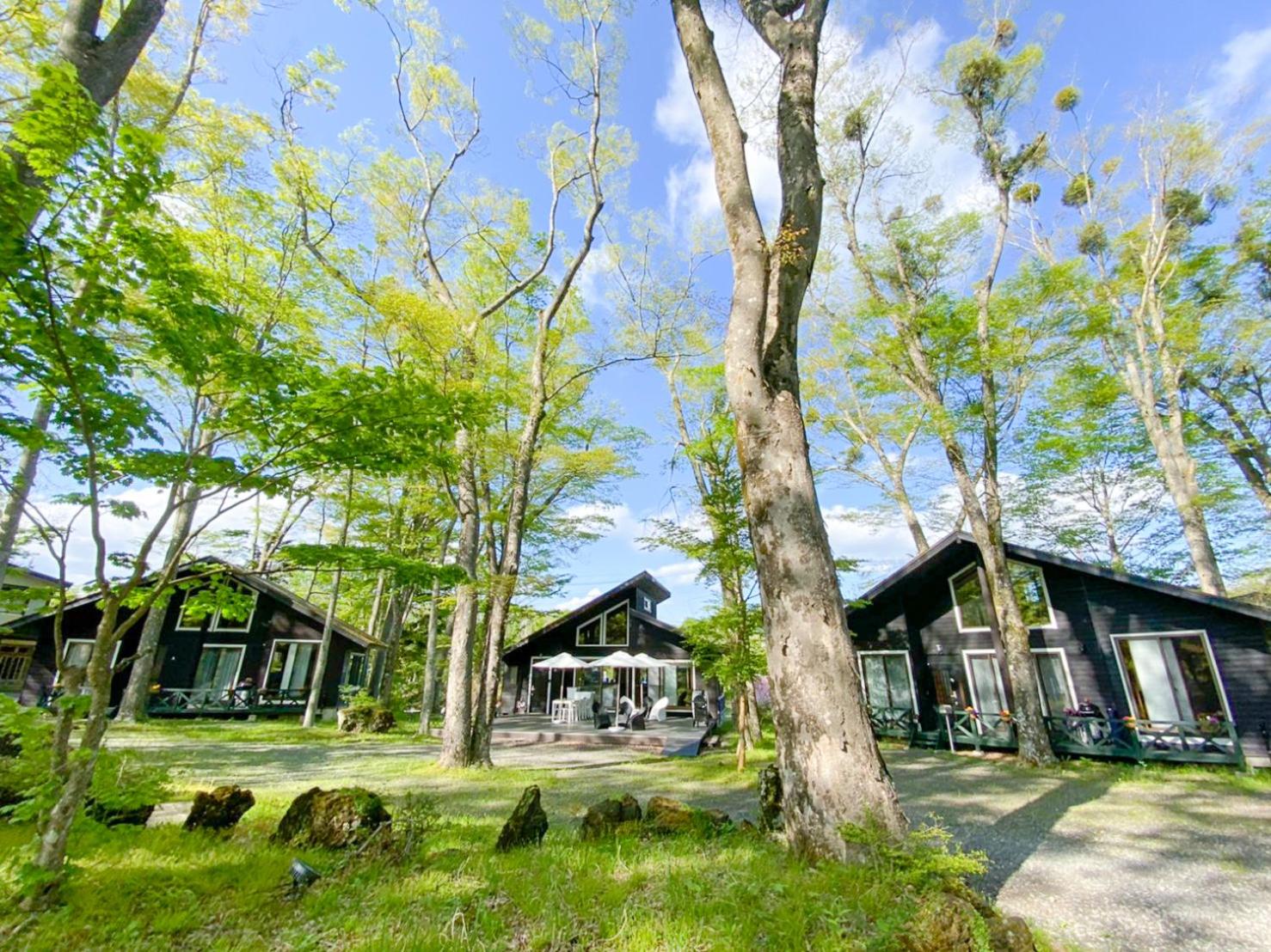 Forest Villa Yamanakako view 2