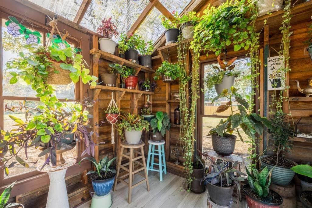 Experience Tiny House Weddings & Retreats view 2