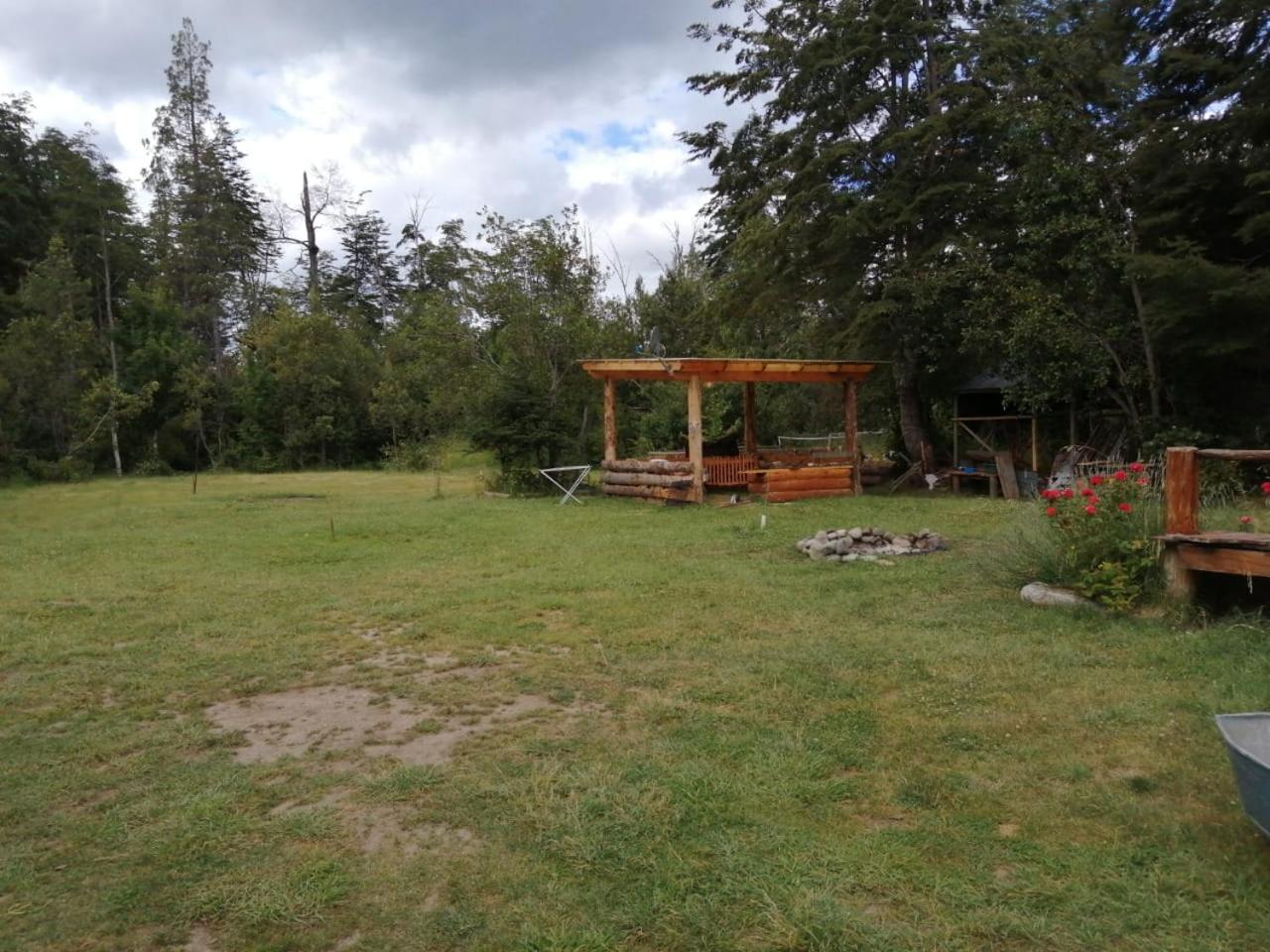 Bosque Nativo