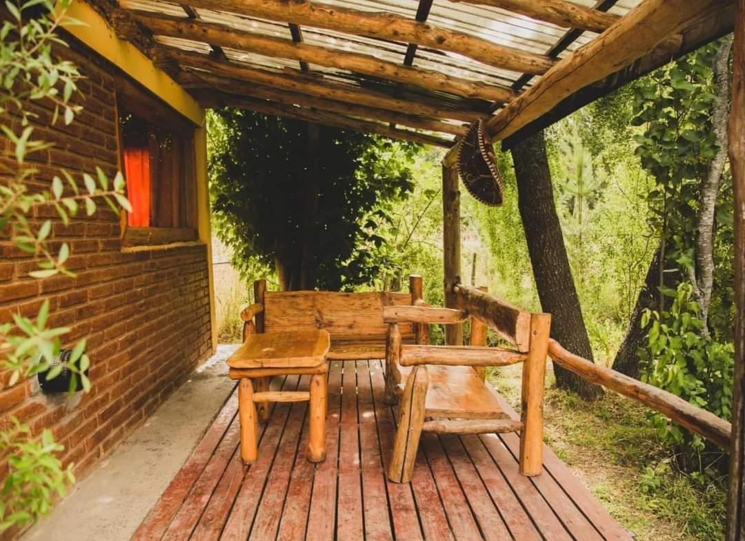 Bosque Nativo
