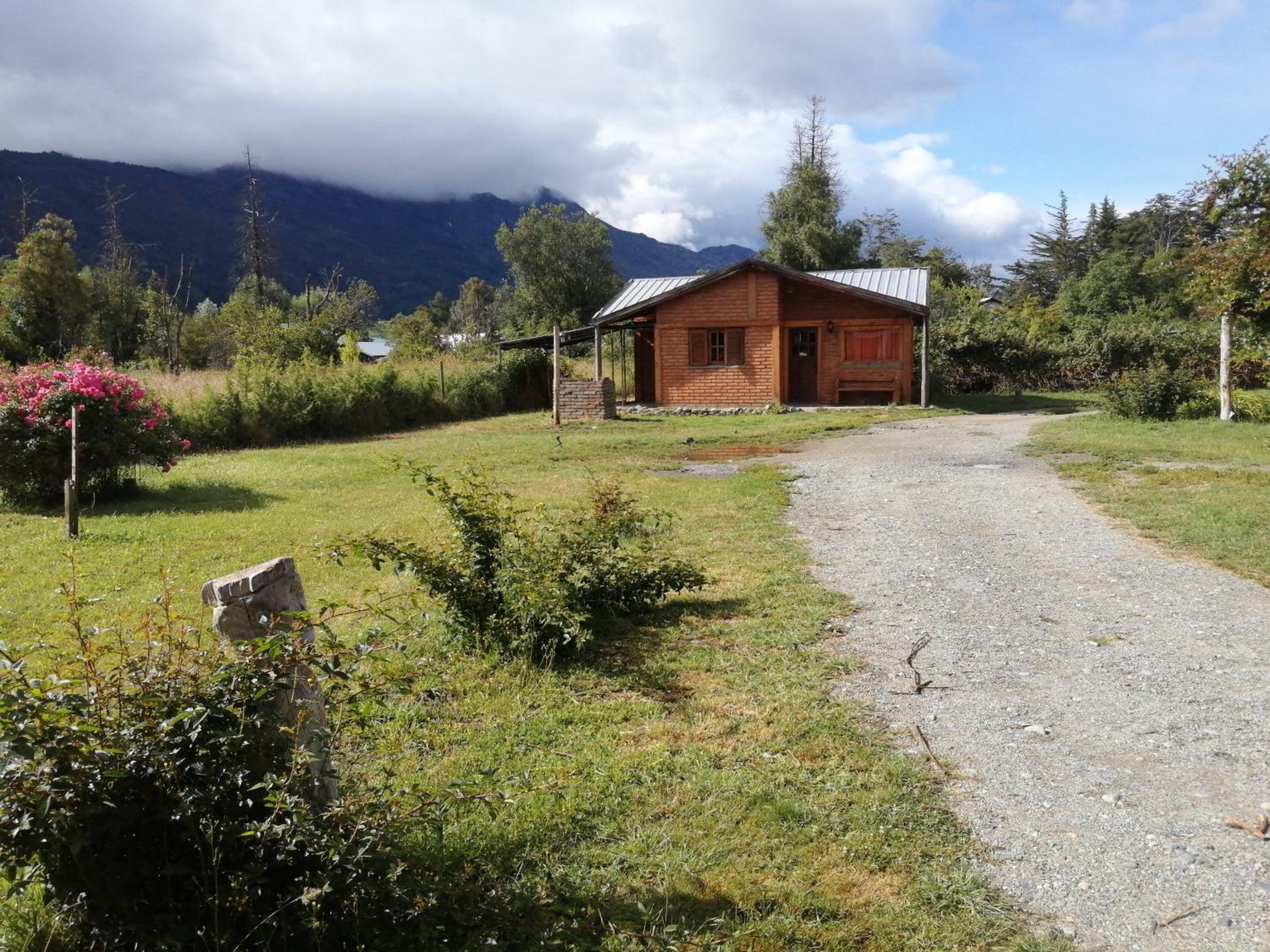 Bosque Nativo