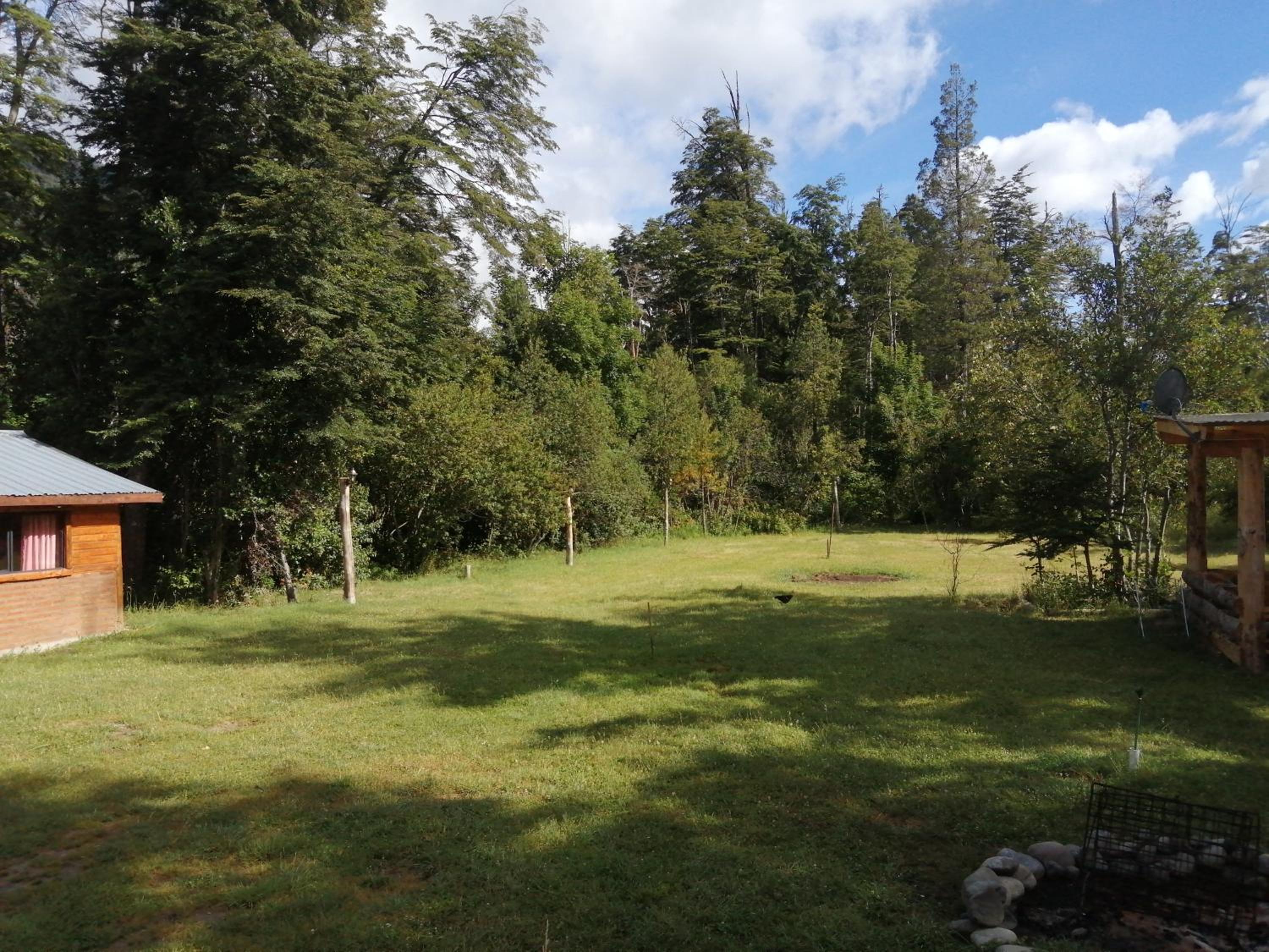 Bosque Nativo