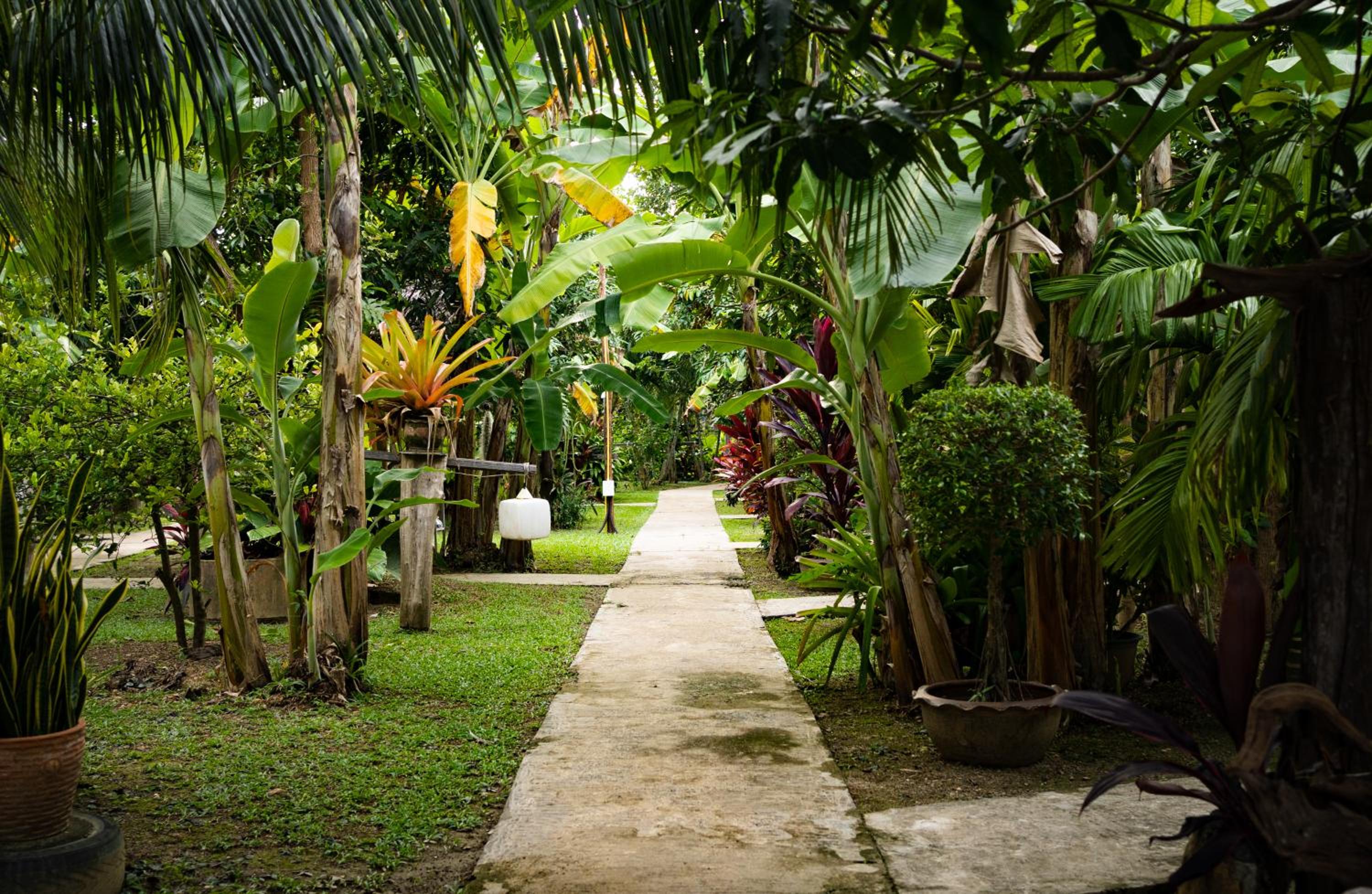Lanta Andaleaf Bungalow - SHA Extra Plus