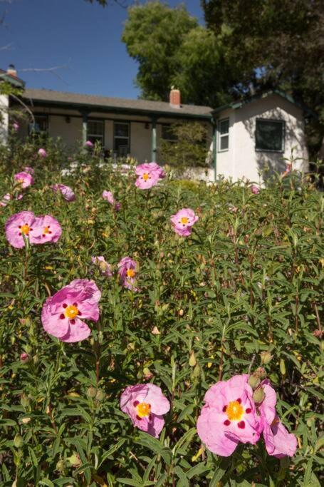 Wine Country Bungalow