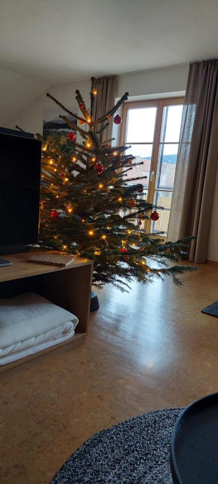 Mein Traumblick