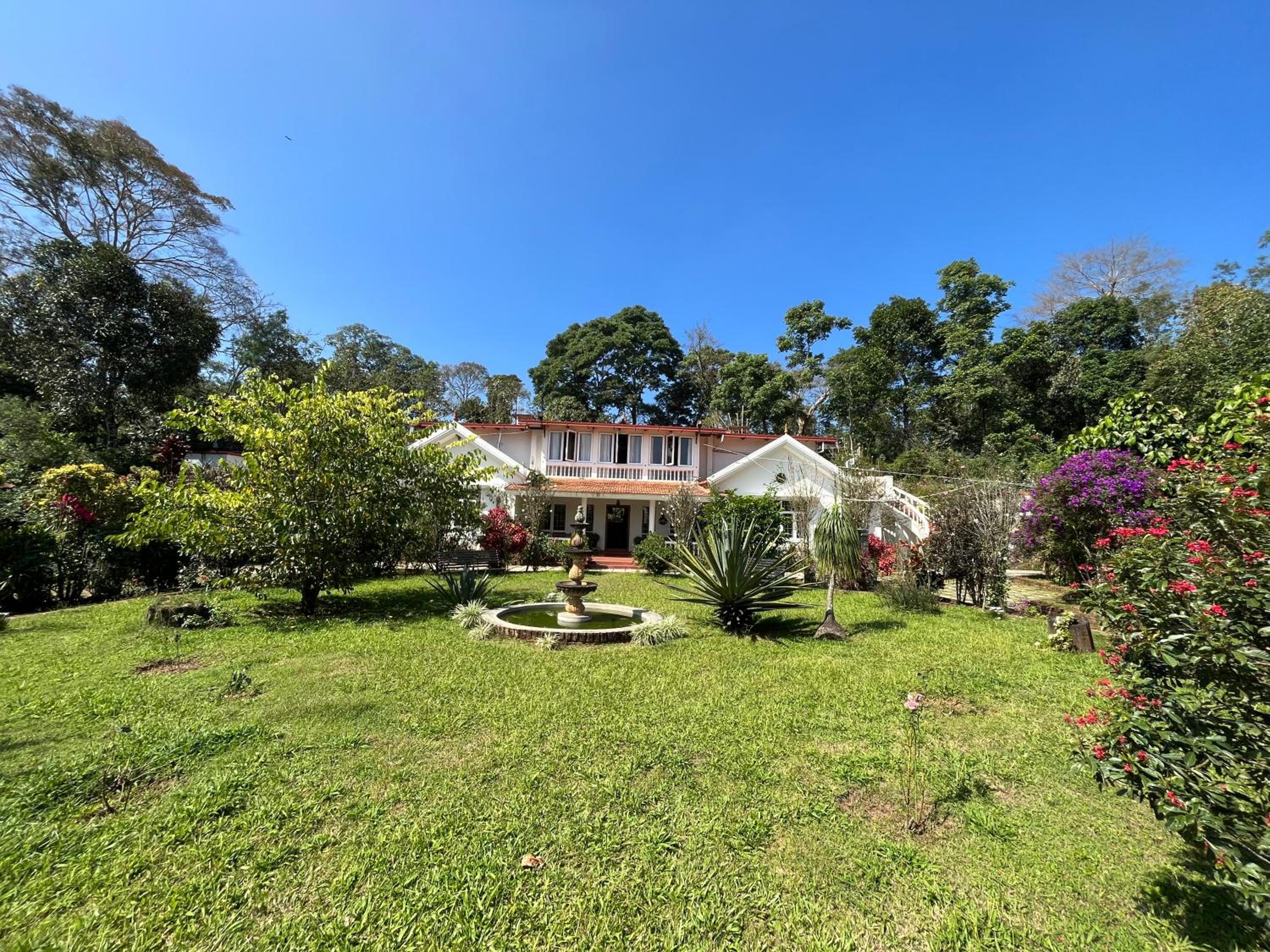 Robin Woods Homestay view 5
