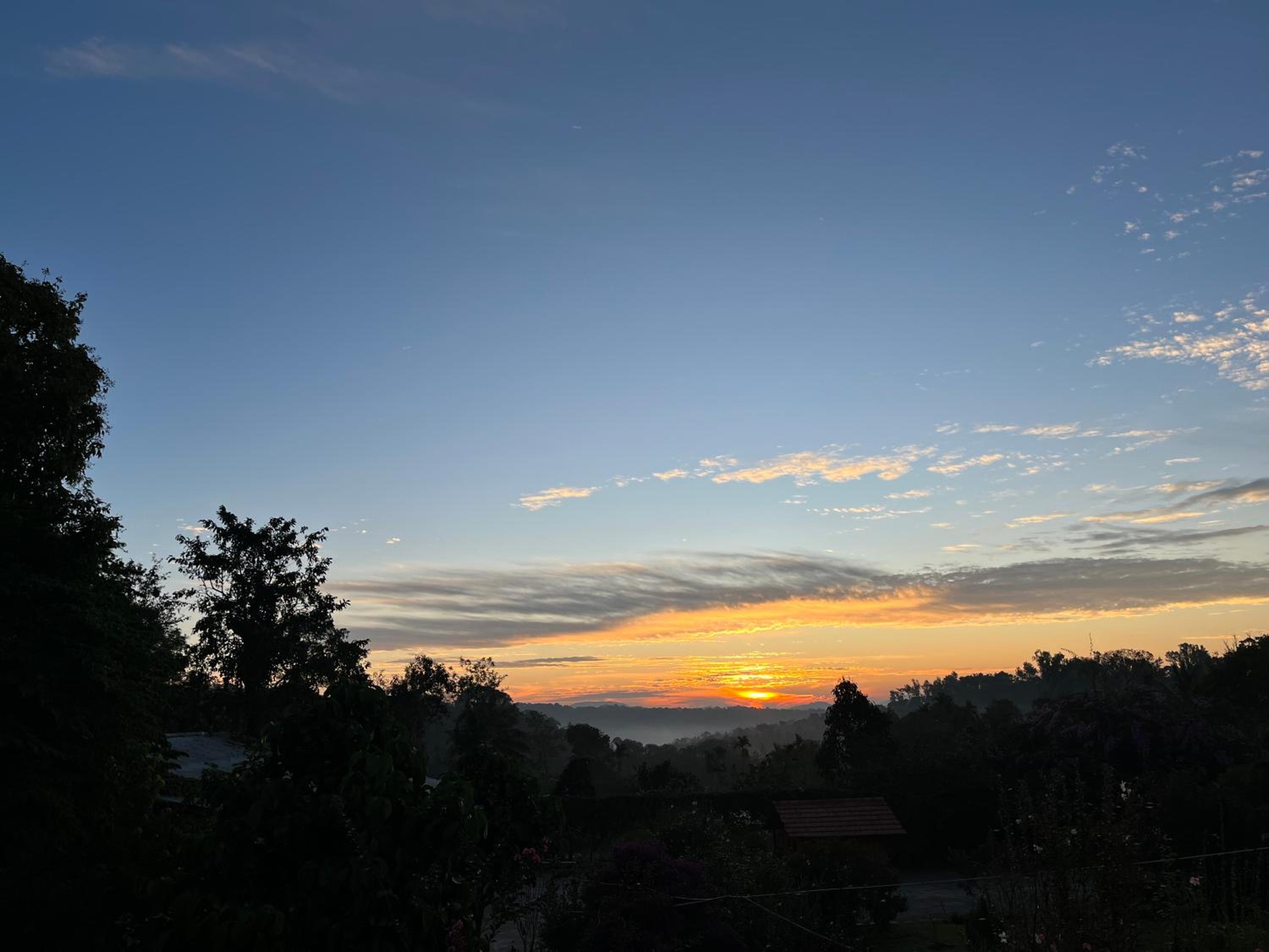 Robin Woods Homestay view 3