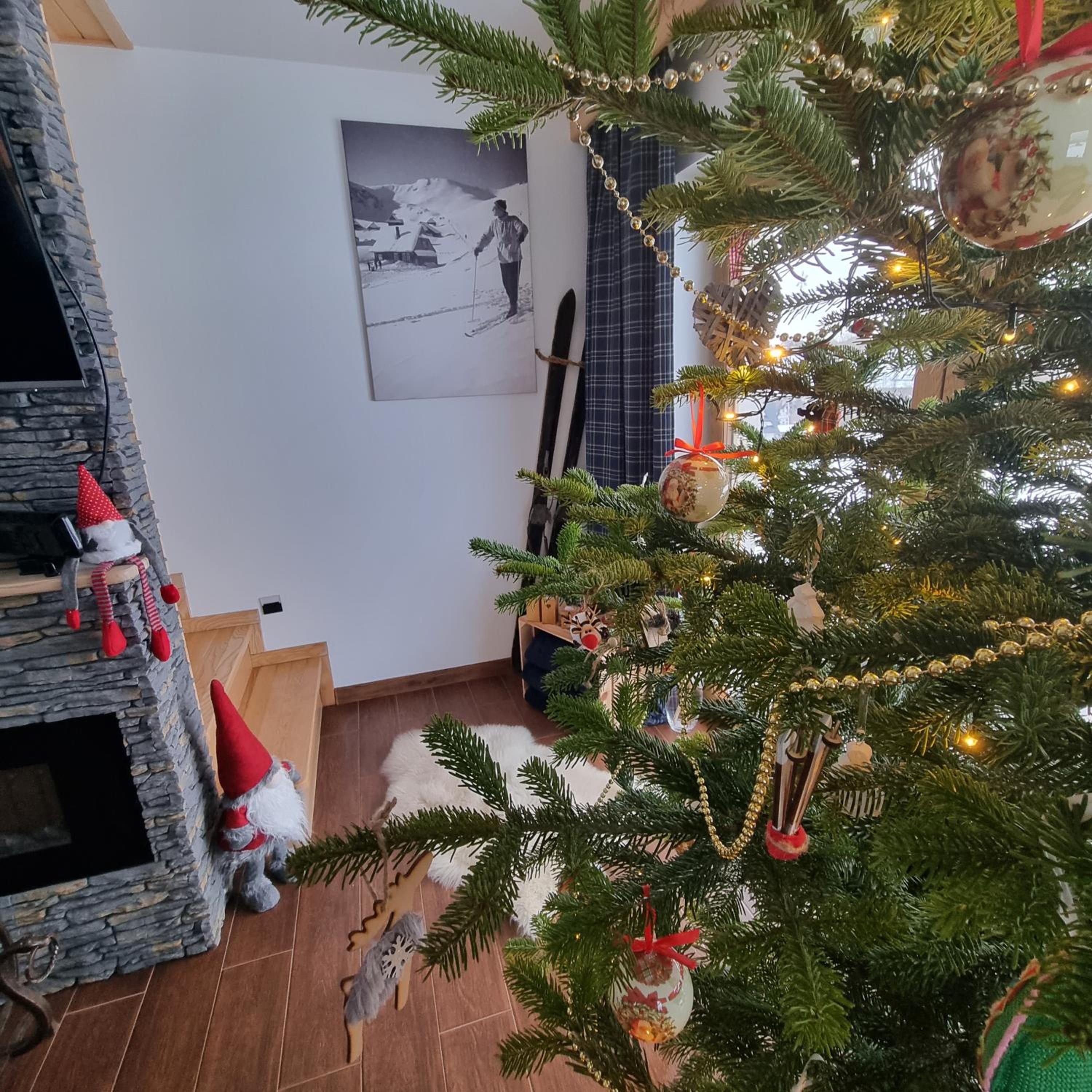 Photo 28