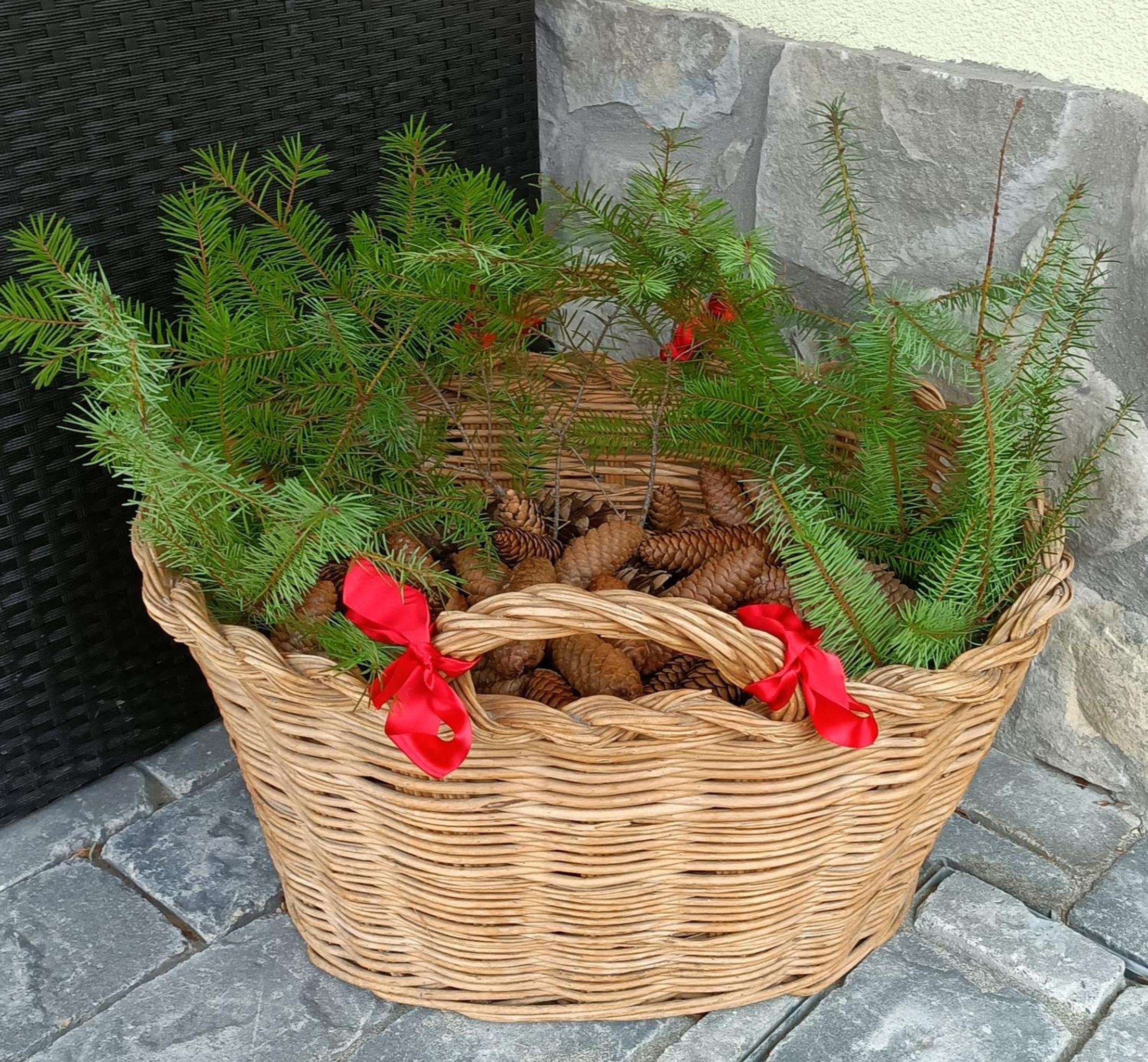 Photo 29