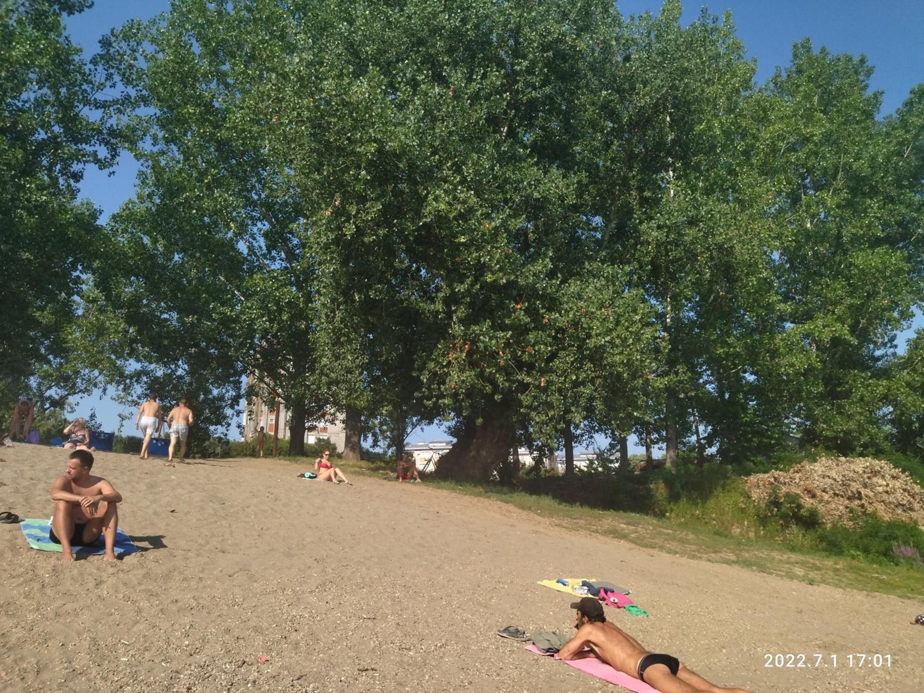Photo 34