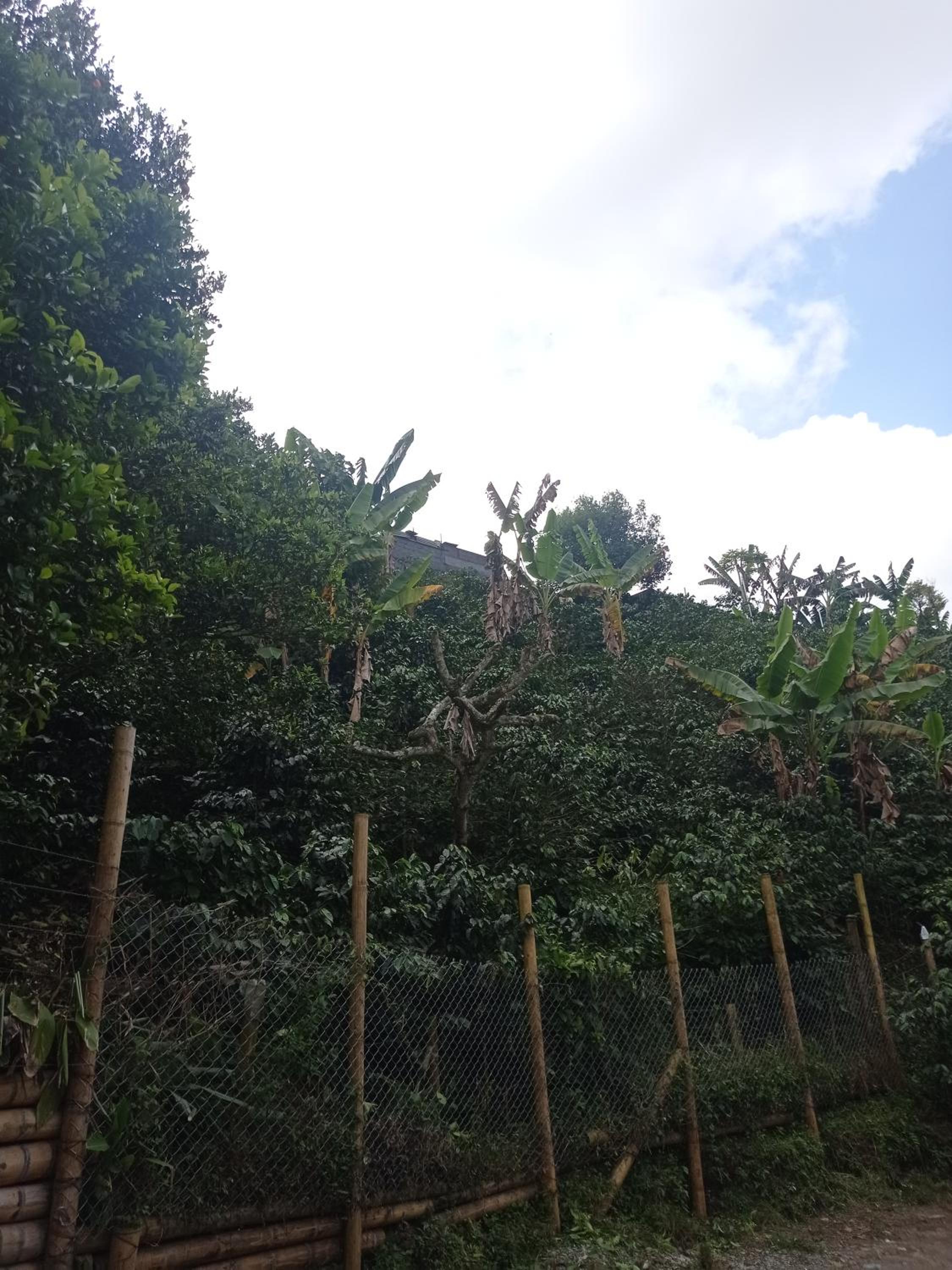 Casa campestre cafetera, con agua caliente