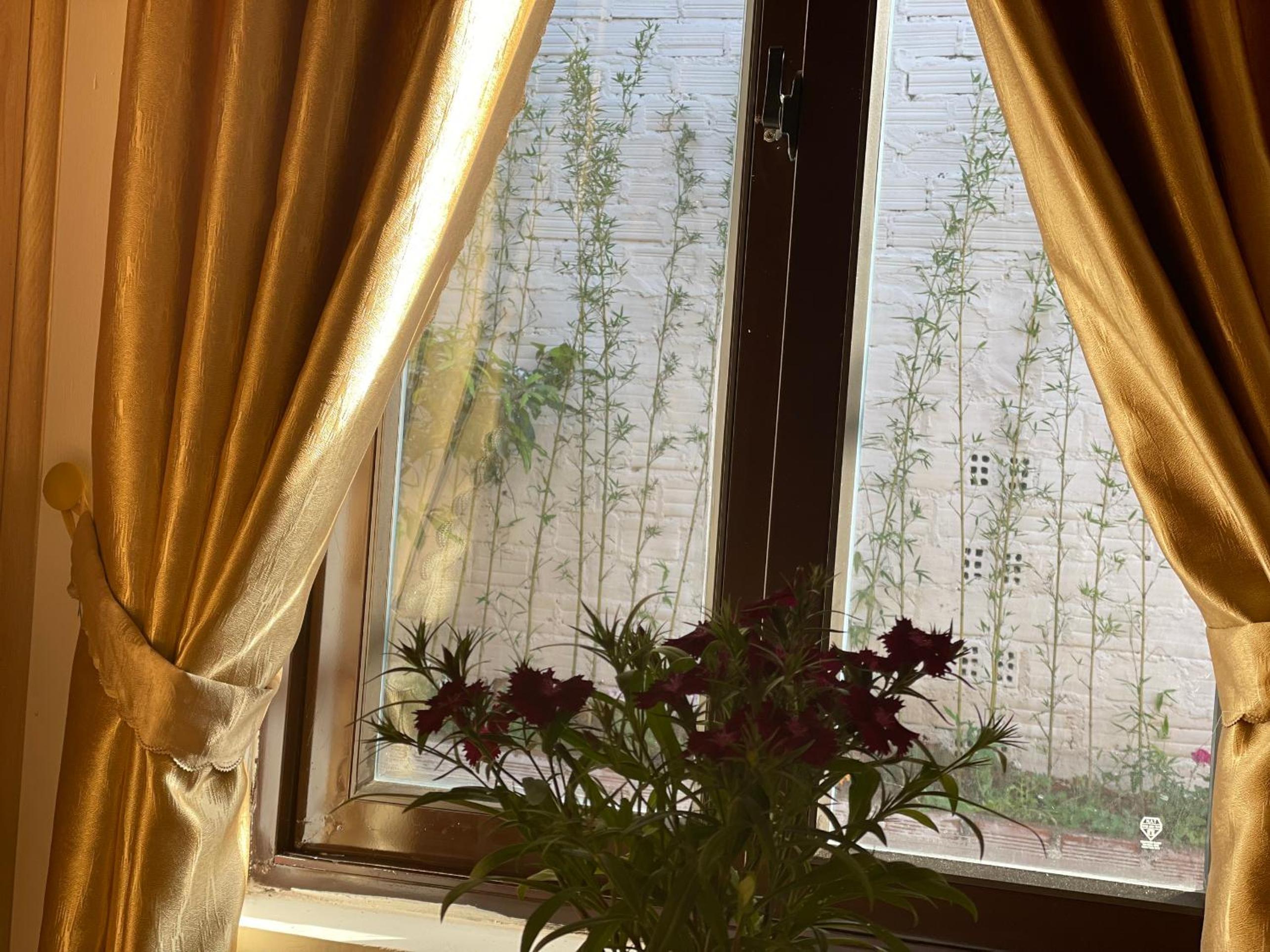 Pleiku Homestay