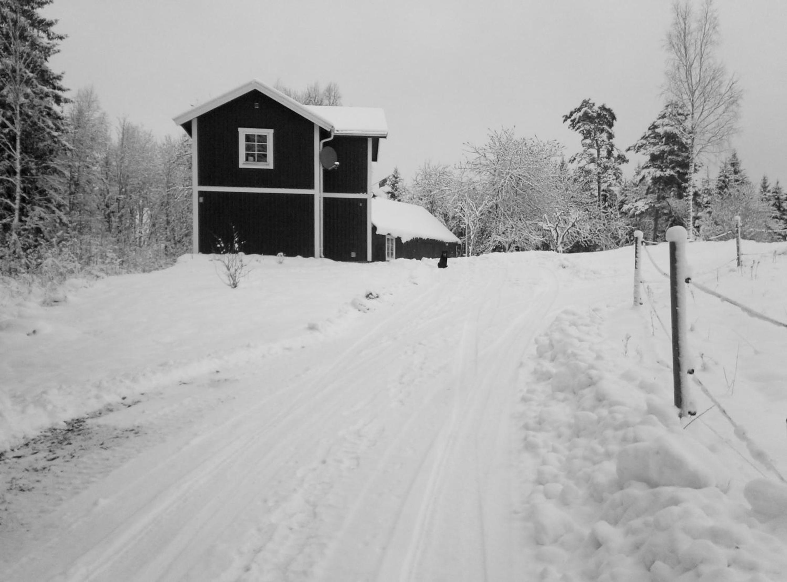 Photo 17