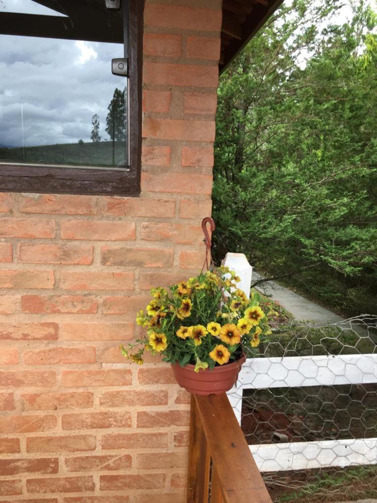 Estância Liberdade