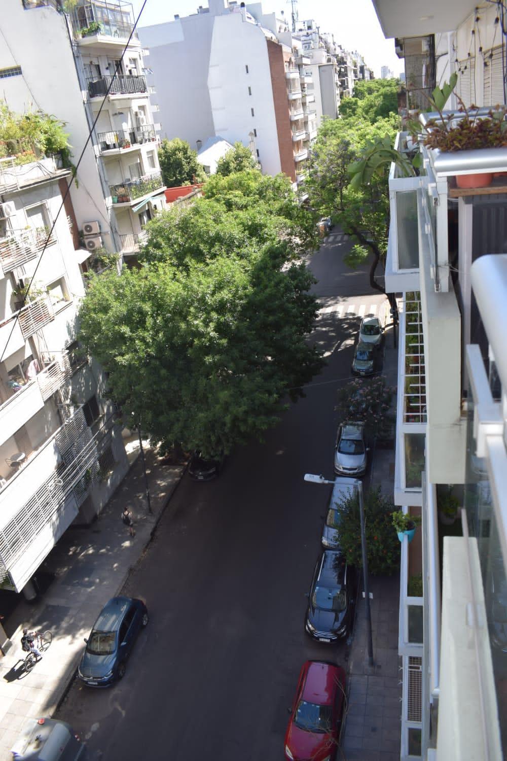 BOTÁNICO SOHO