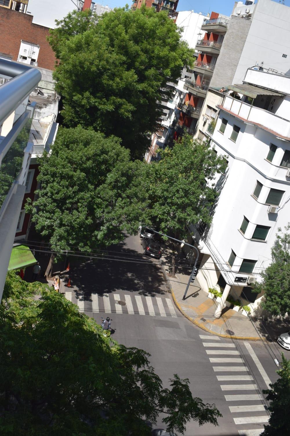 BOTÁNICO SOHO