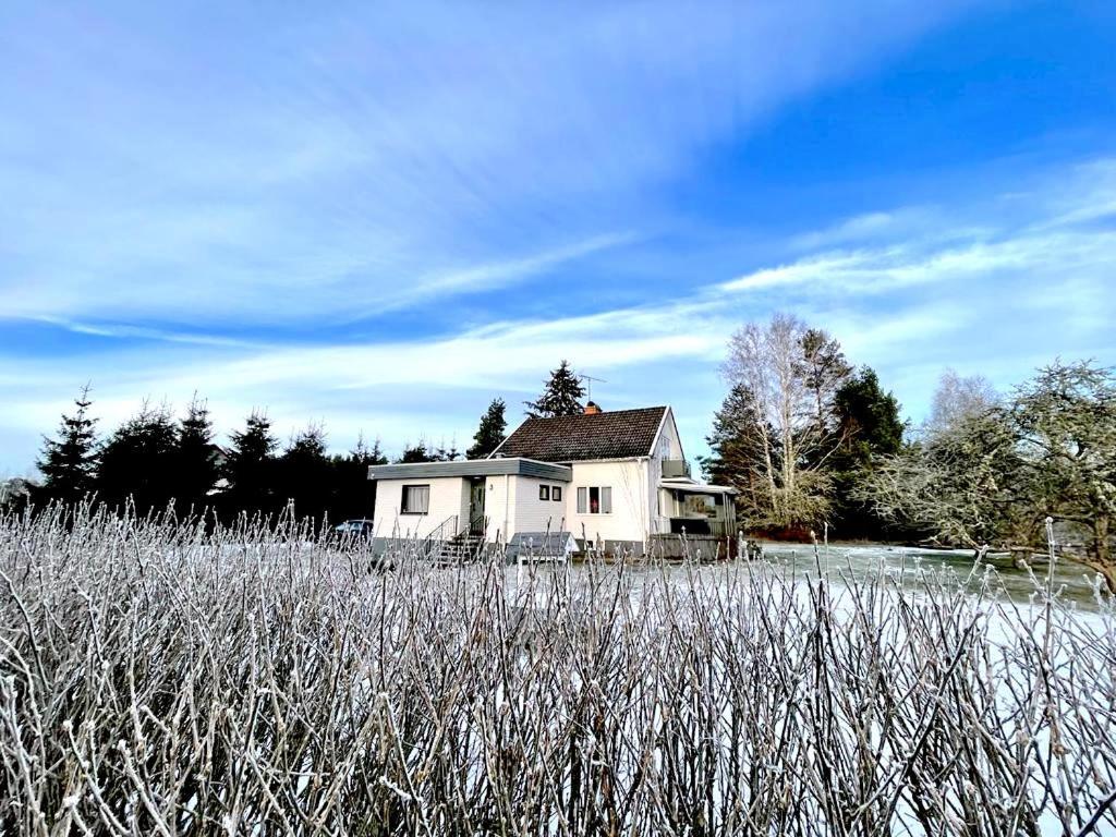 Björkholm - Villa in Målilla view 2