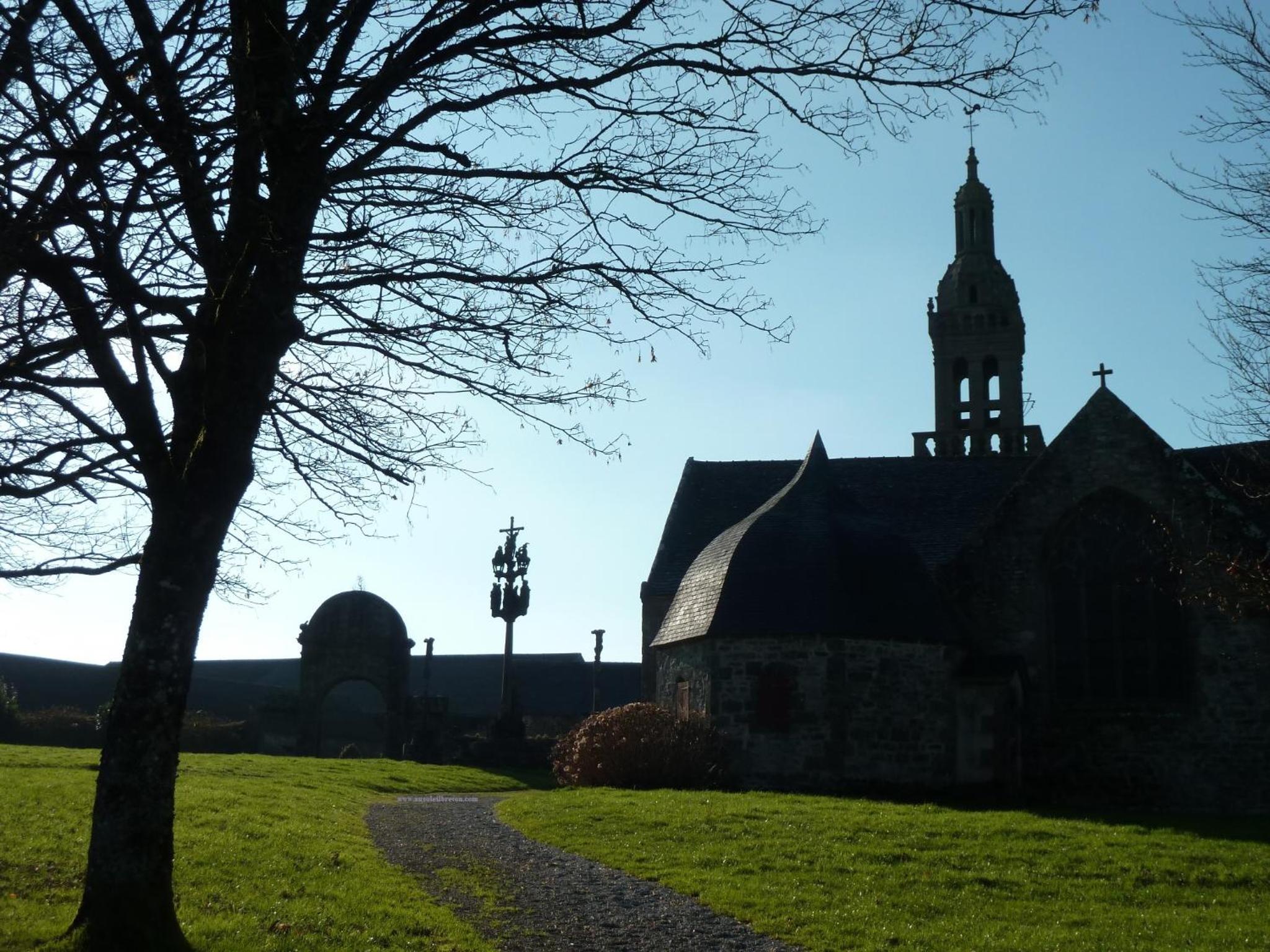 Photo 47