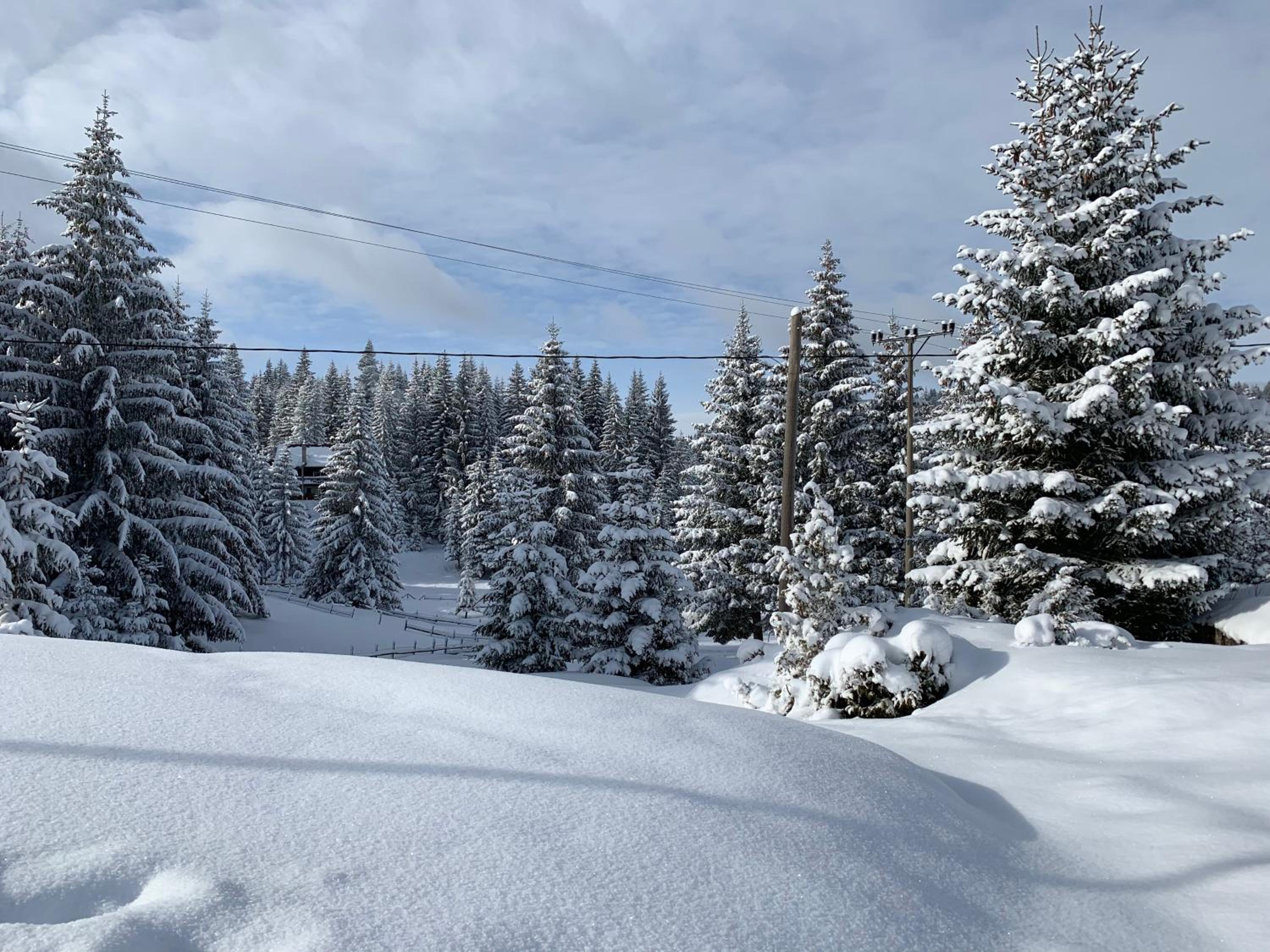 Šumski raj Jahorina
