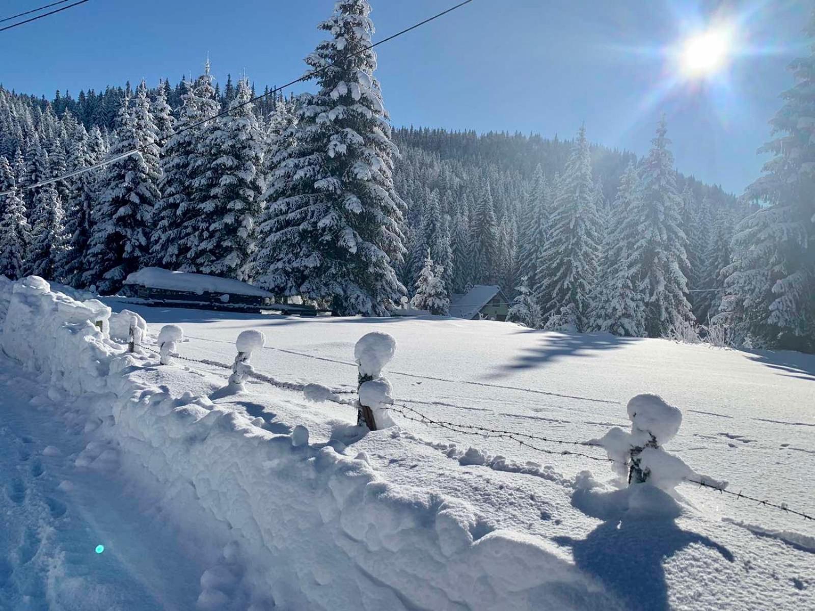 Šumski raj Jahorina