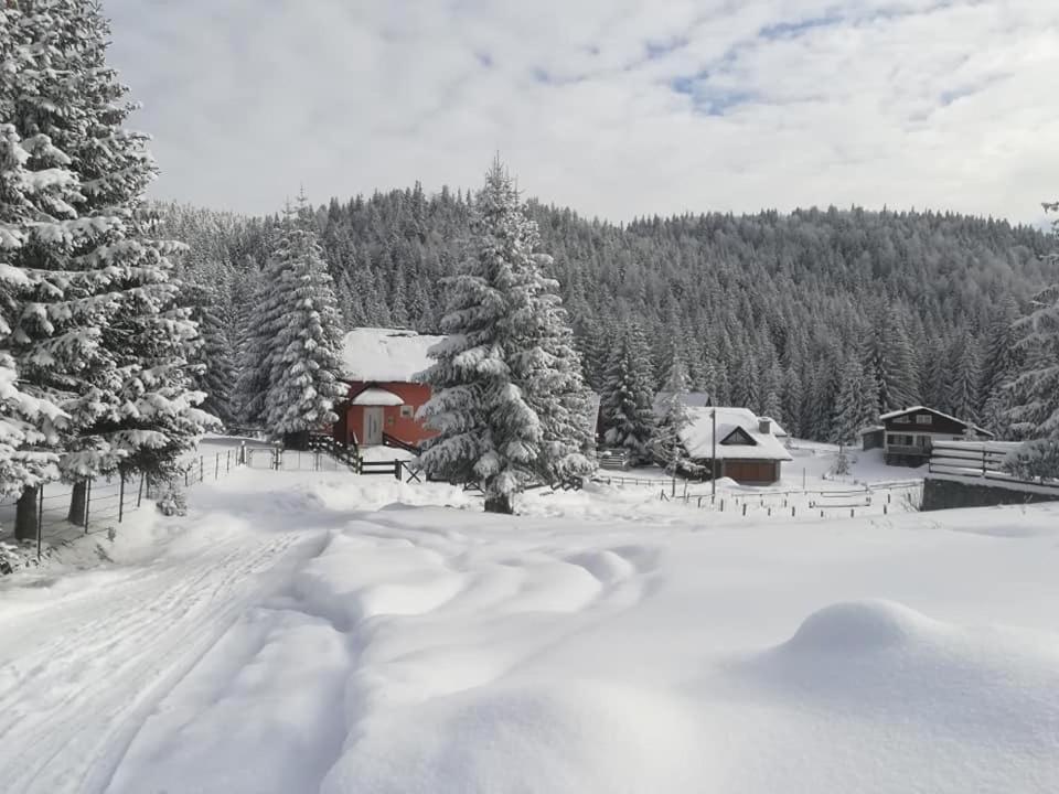Šumski raj Jahorina
