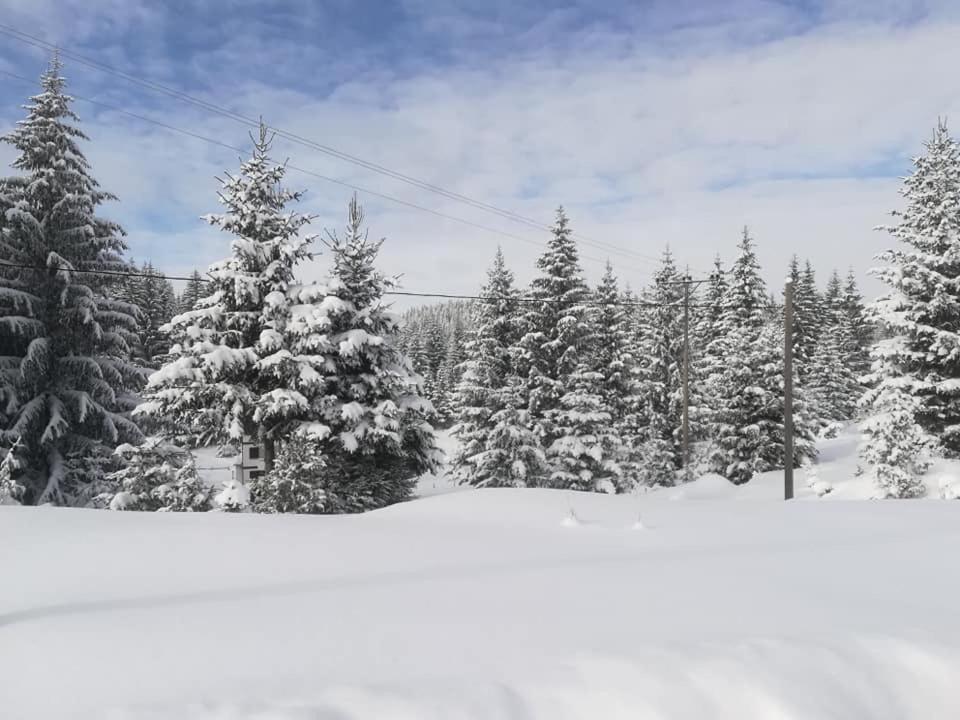 Šumski raj Jahorina