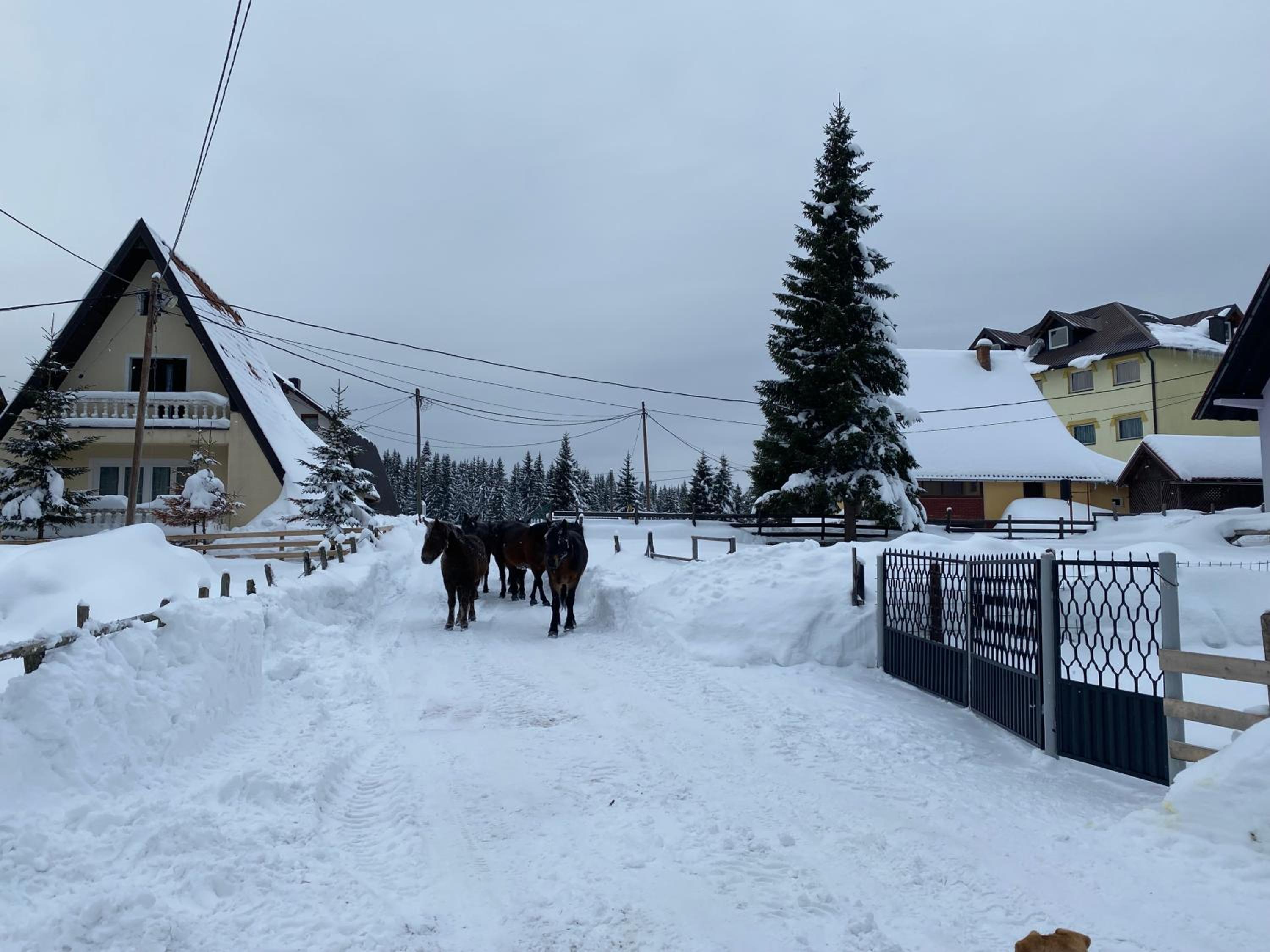 Šumski raj Jahorina