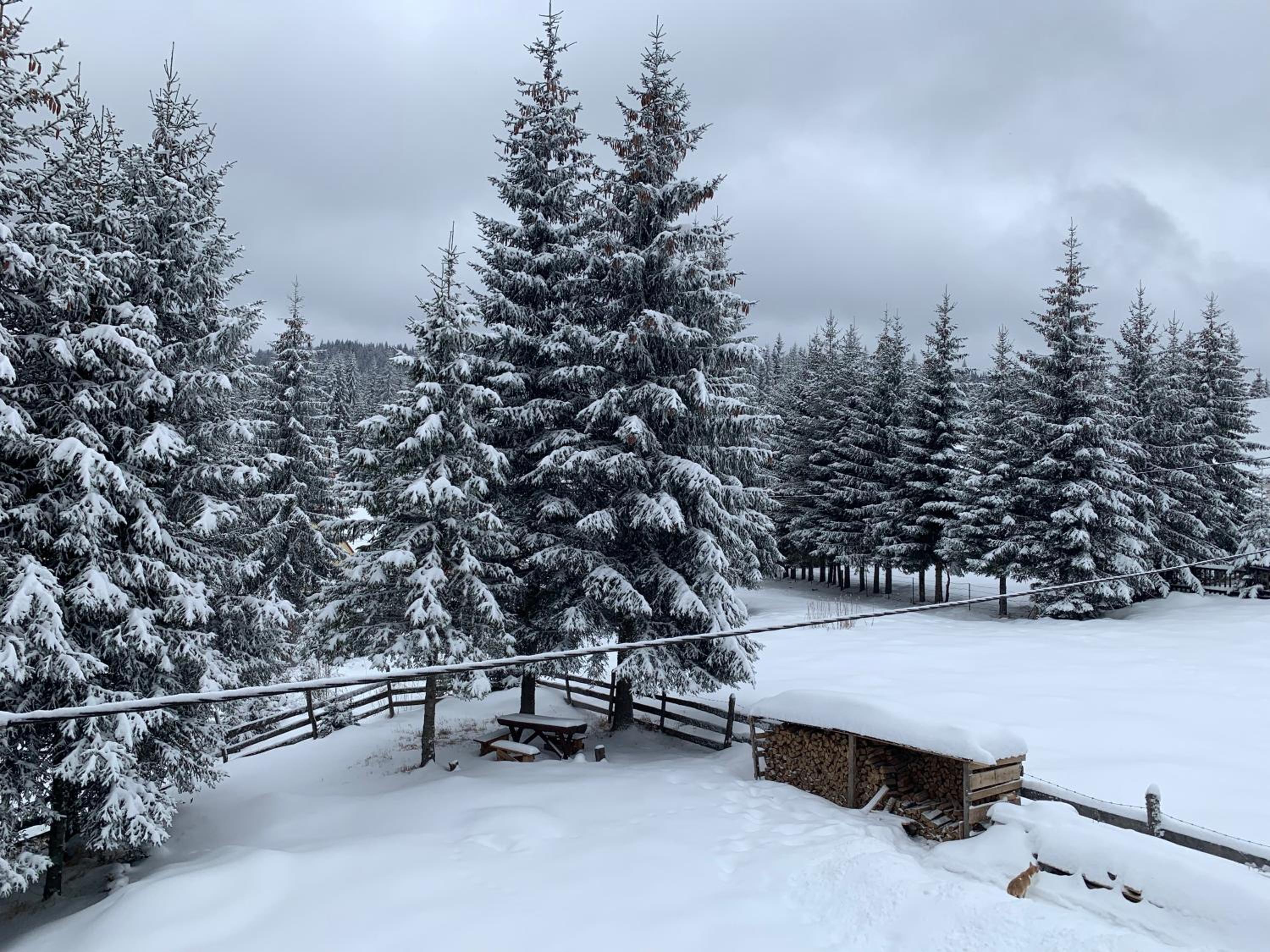 Šumski raj Jahorina