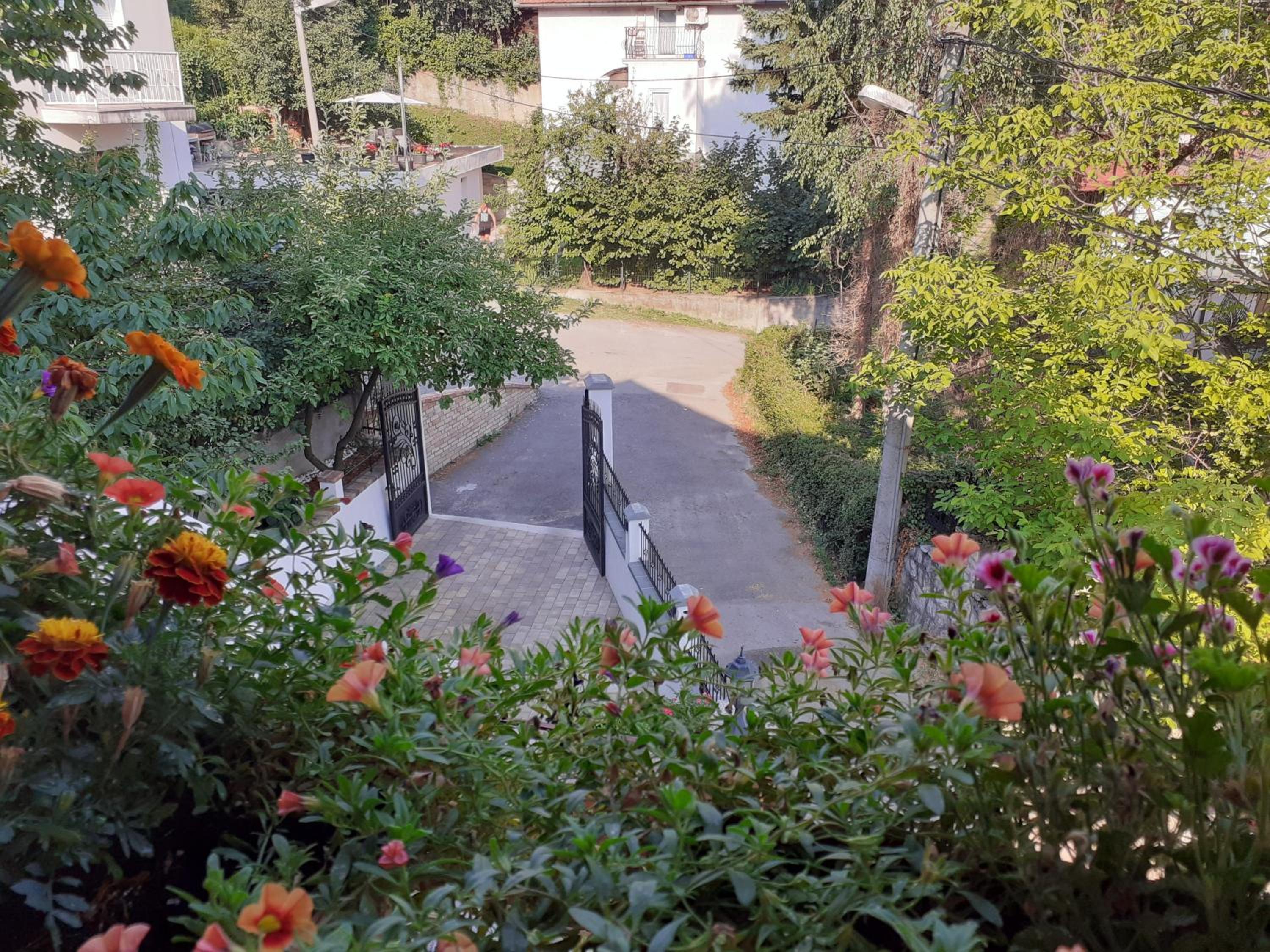 Photo 46