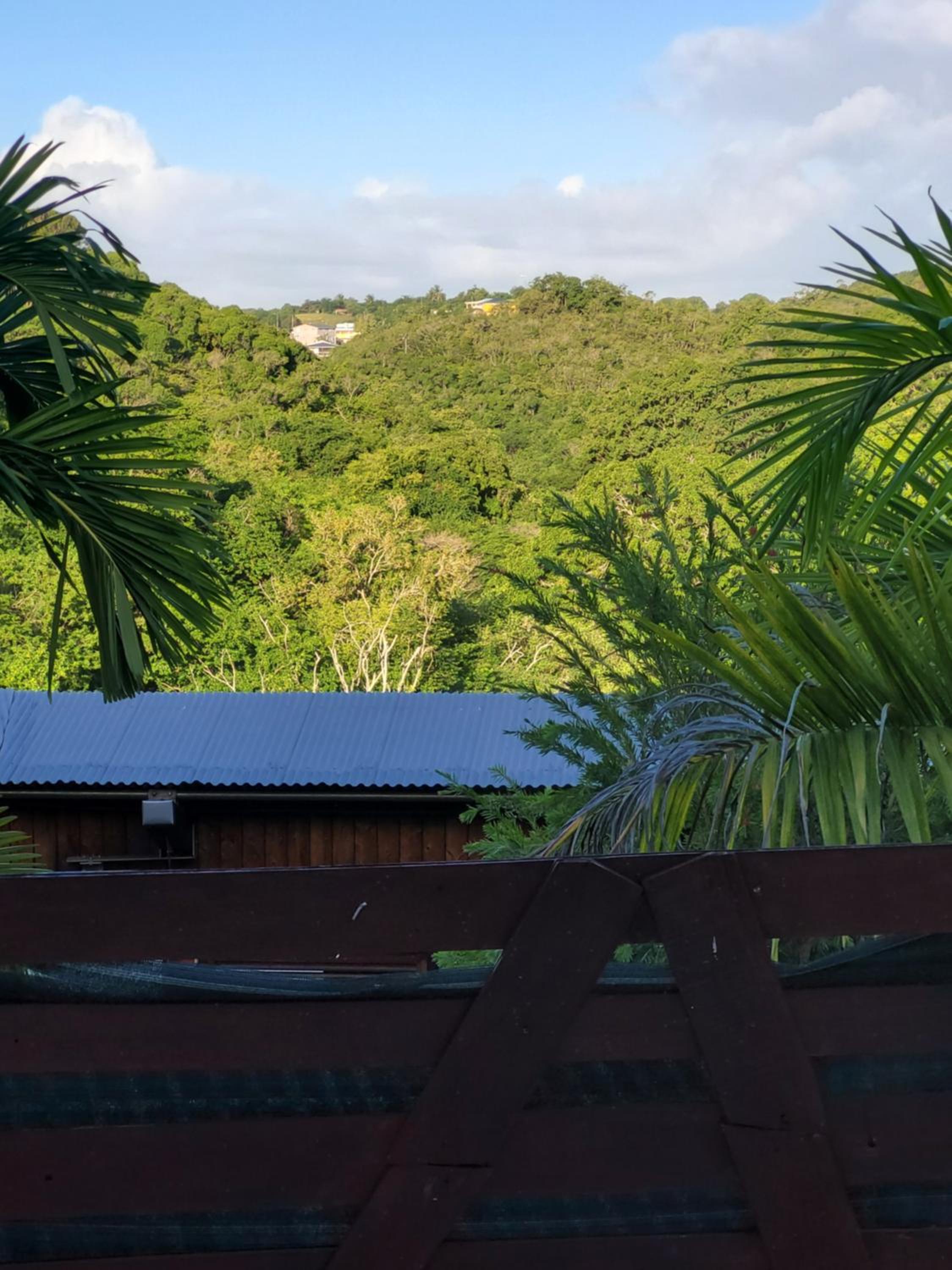 Anais location 971 Guadeloupe view 3