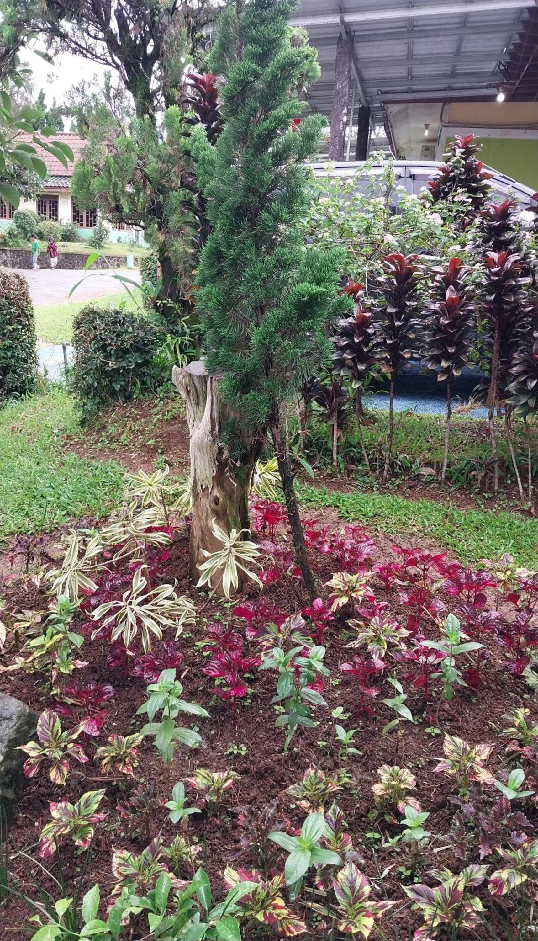 Photo 26