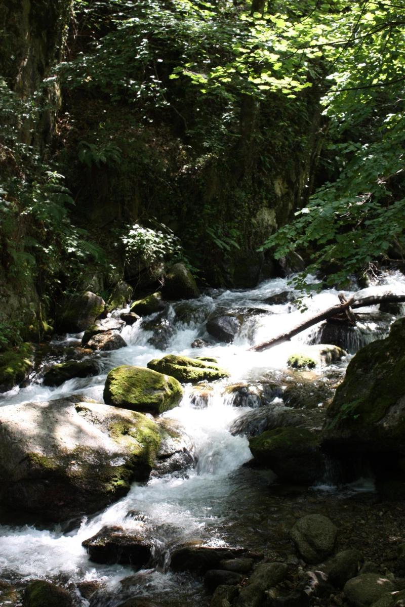Photo 51