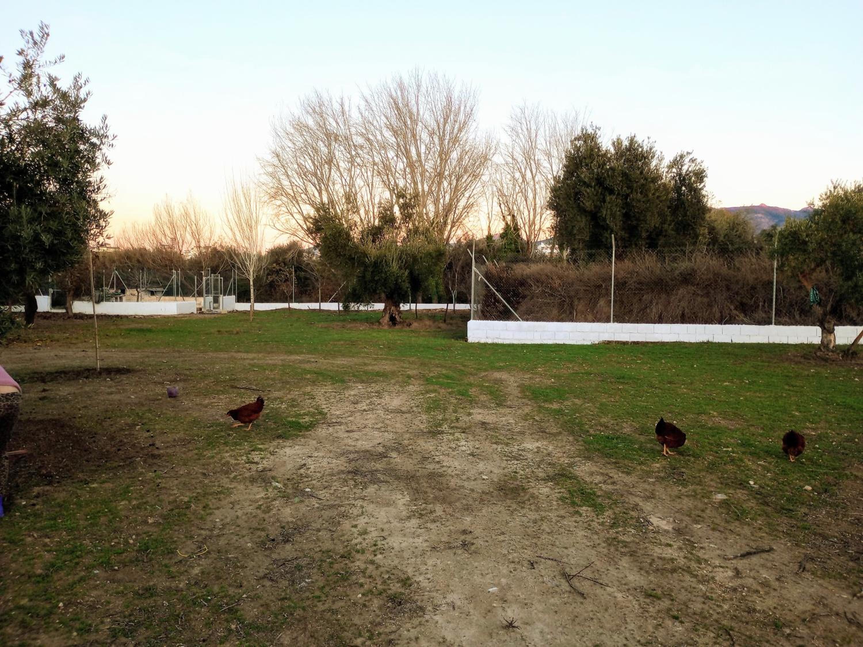 Casa de Campo Los Manueles Ideal Perros Pet Friendly