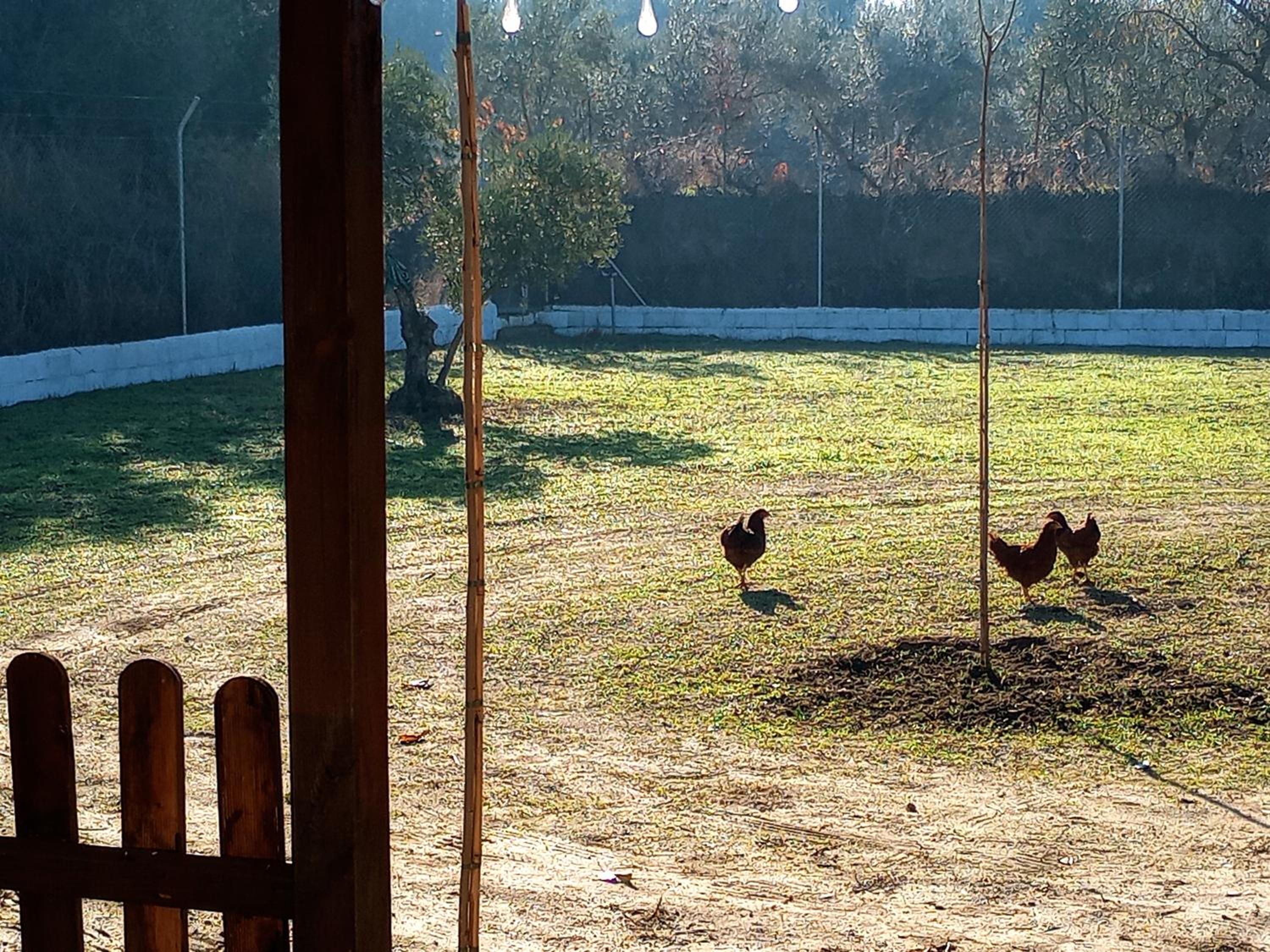 Casa de Campo Los Manueles Ideal Perros Pet Friendly