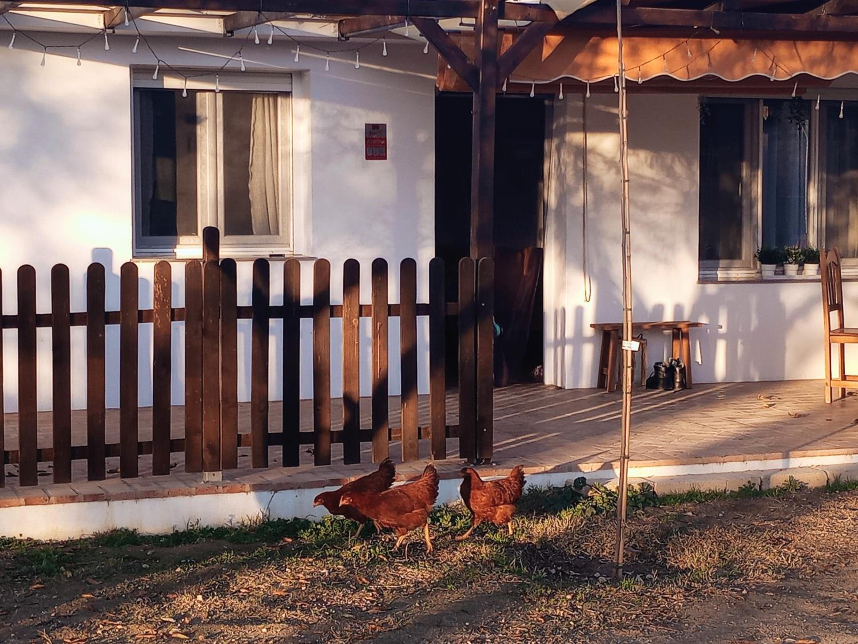 Casa de Campo Los Manueles Ideal Perros Pet Friendly