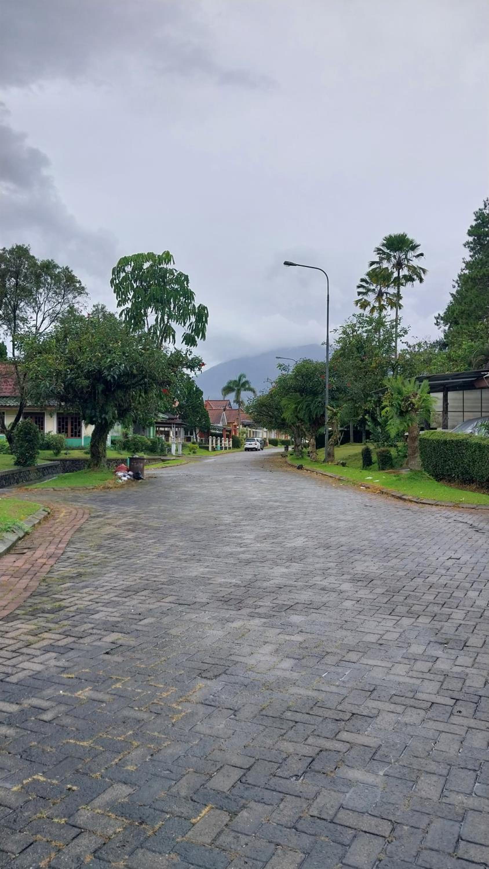 Pirerukafu Villa's - Villa Tipe Thailand di Kota Bunga Puncak view 2