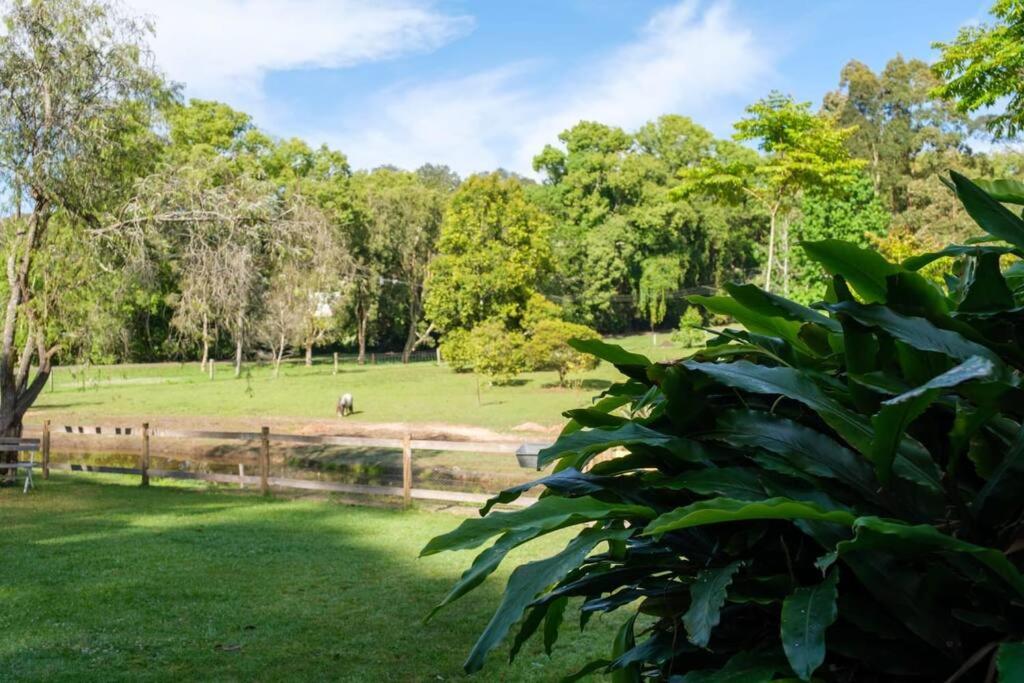 Family Acreage -Miniature Horses -Heated Pool w Slide